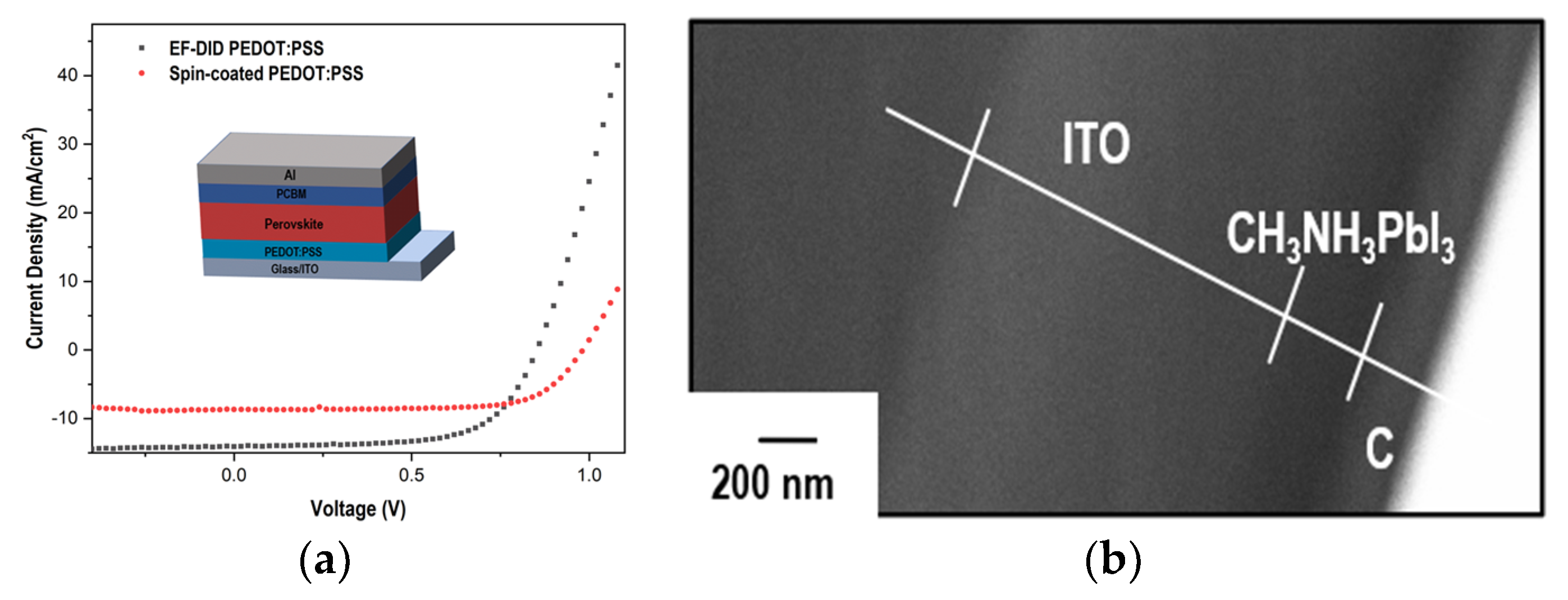 Molecules 28 05989 g009