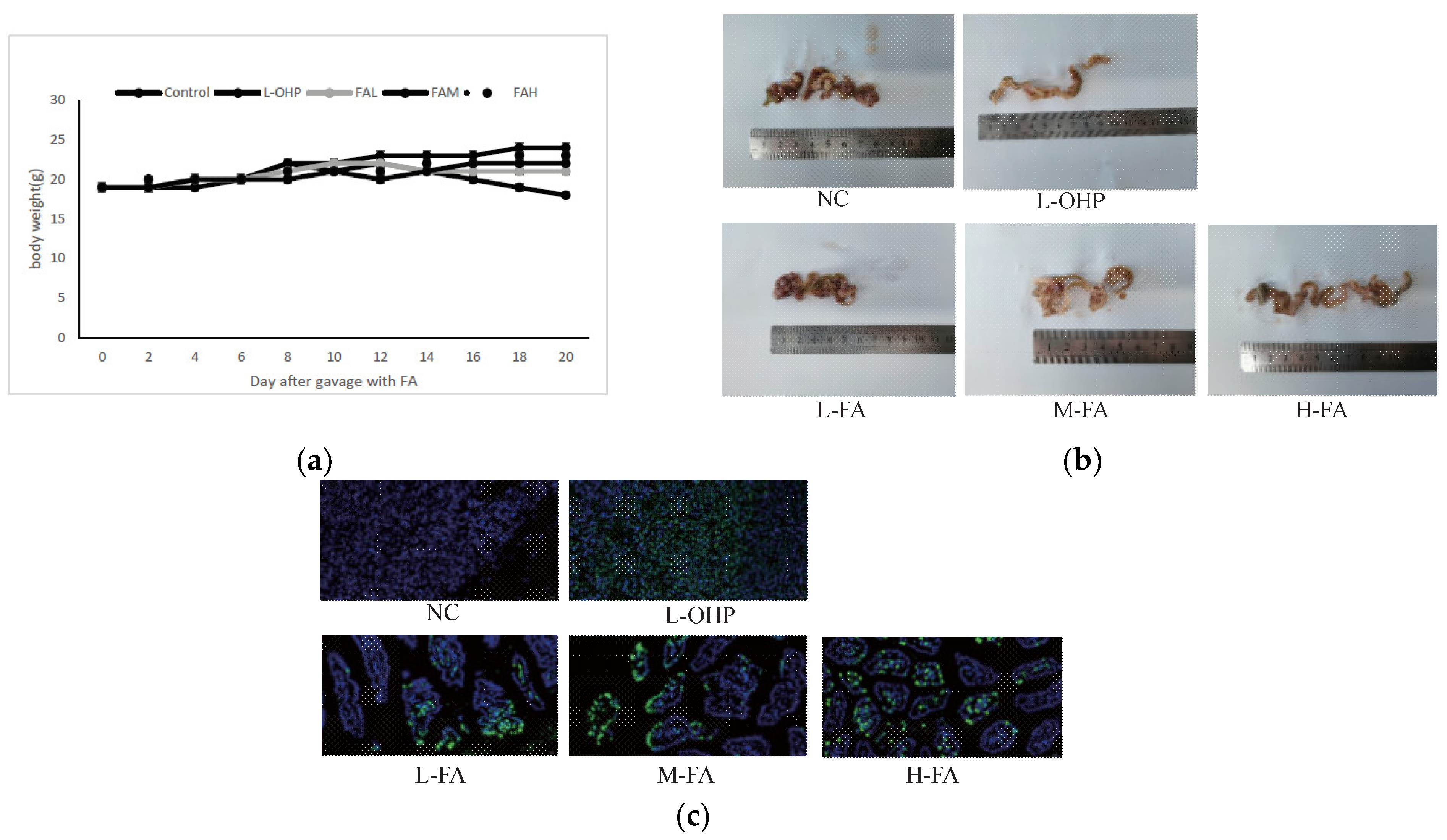 Molecules 28 06014 g002