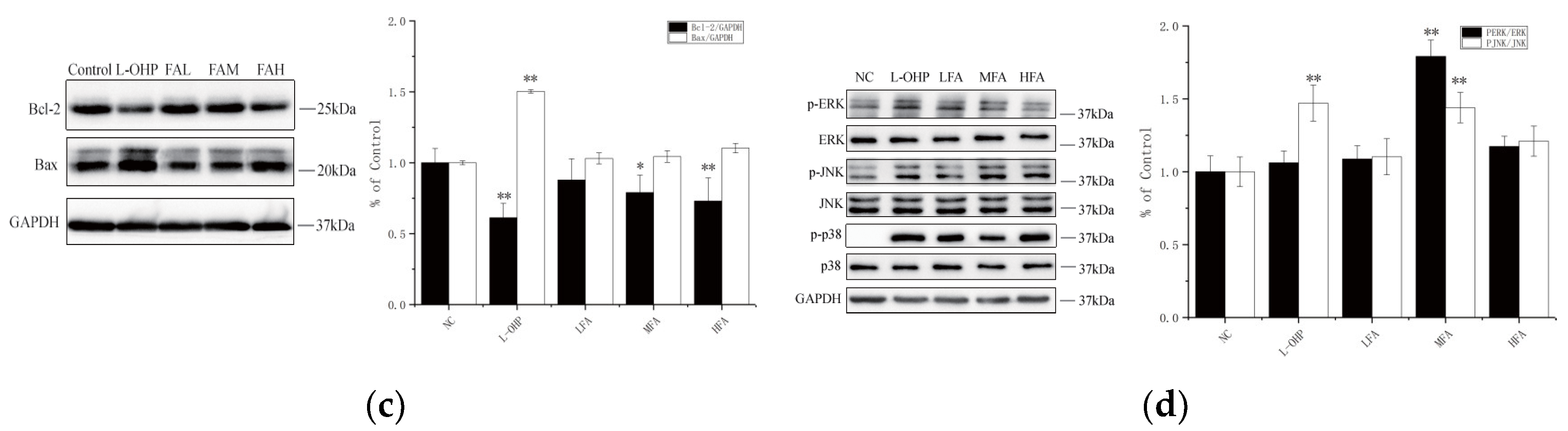 Molecules 28 06014 g003b