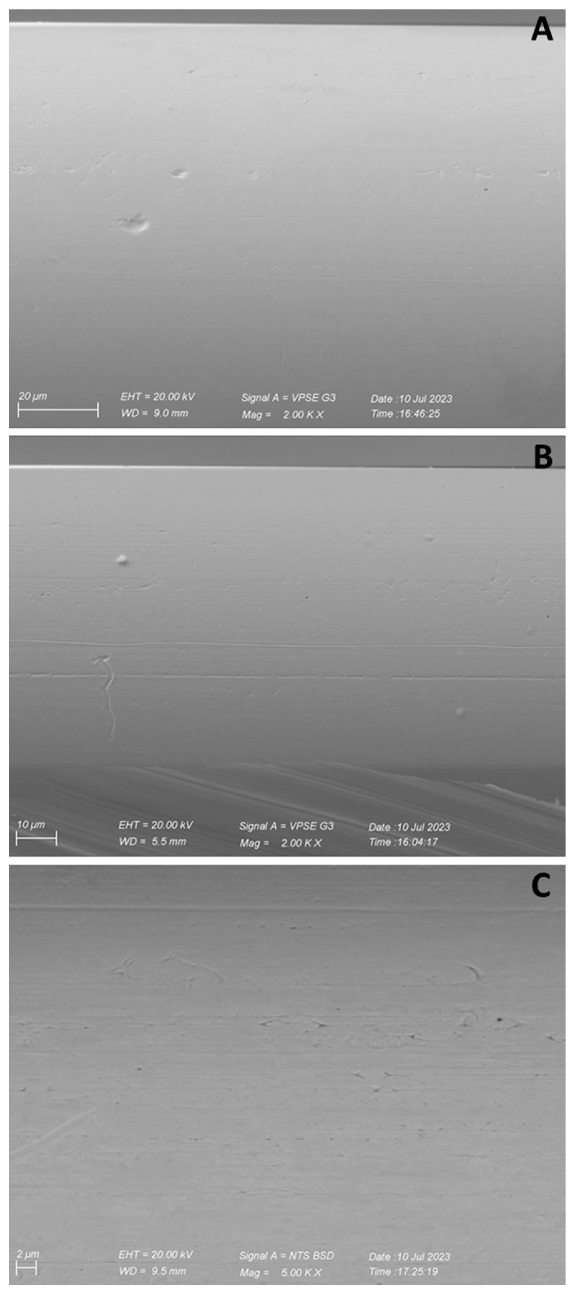 Molecules 28 06017 g009