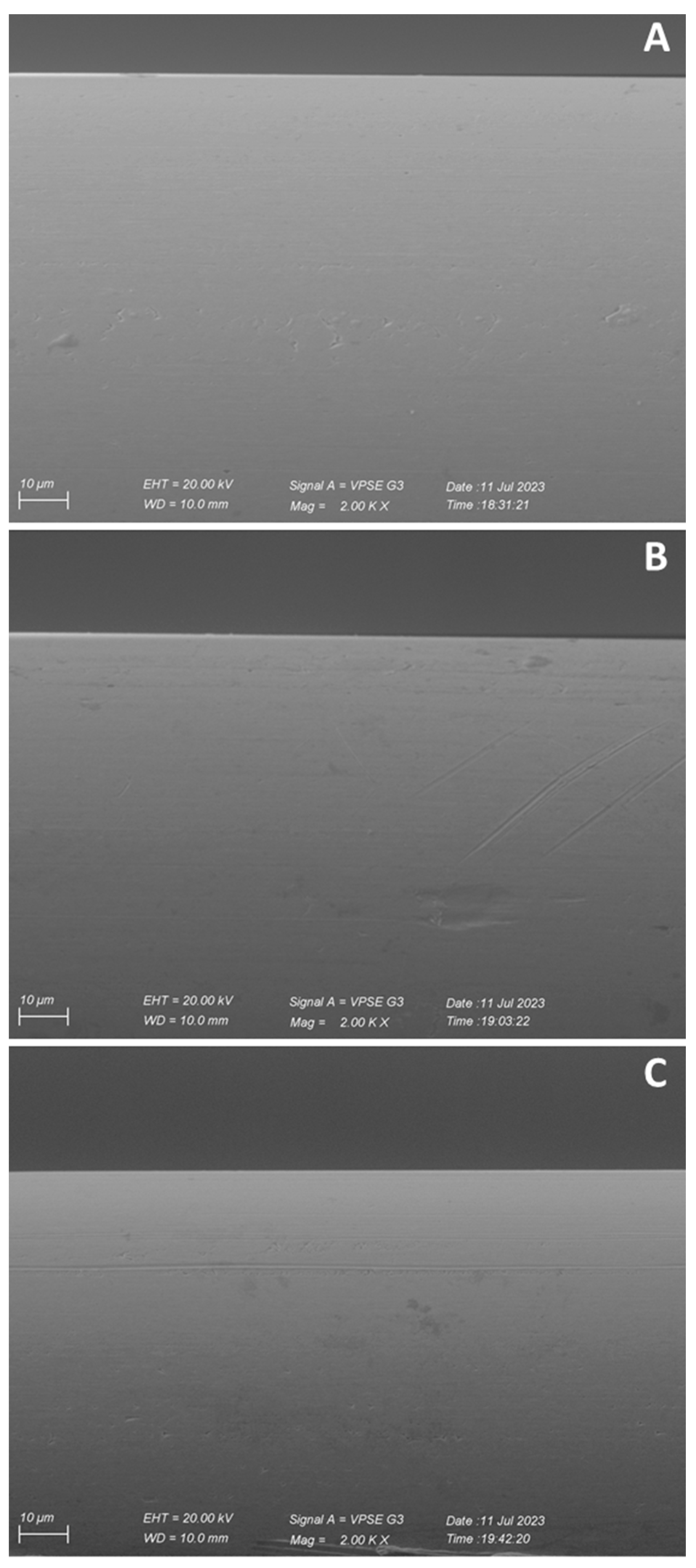 Molecules 28 06017 g010