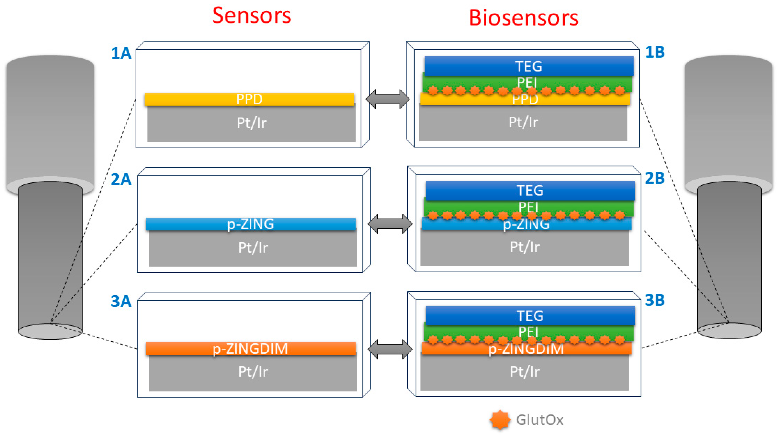 Molecules 28 06017 g012