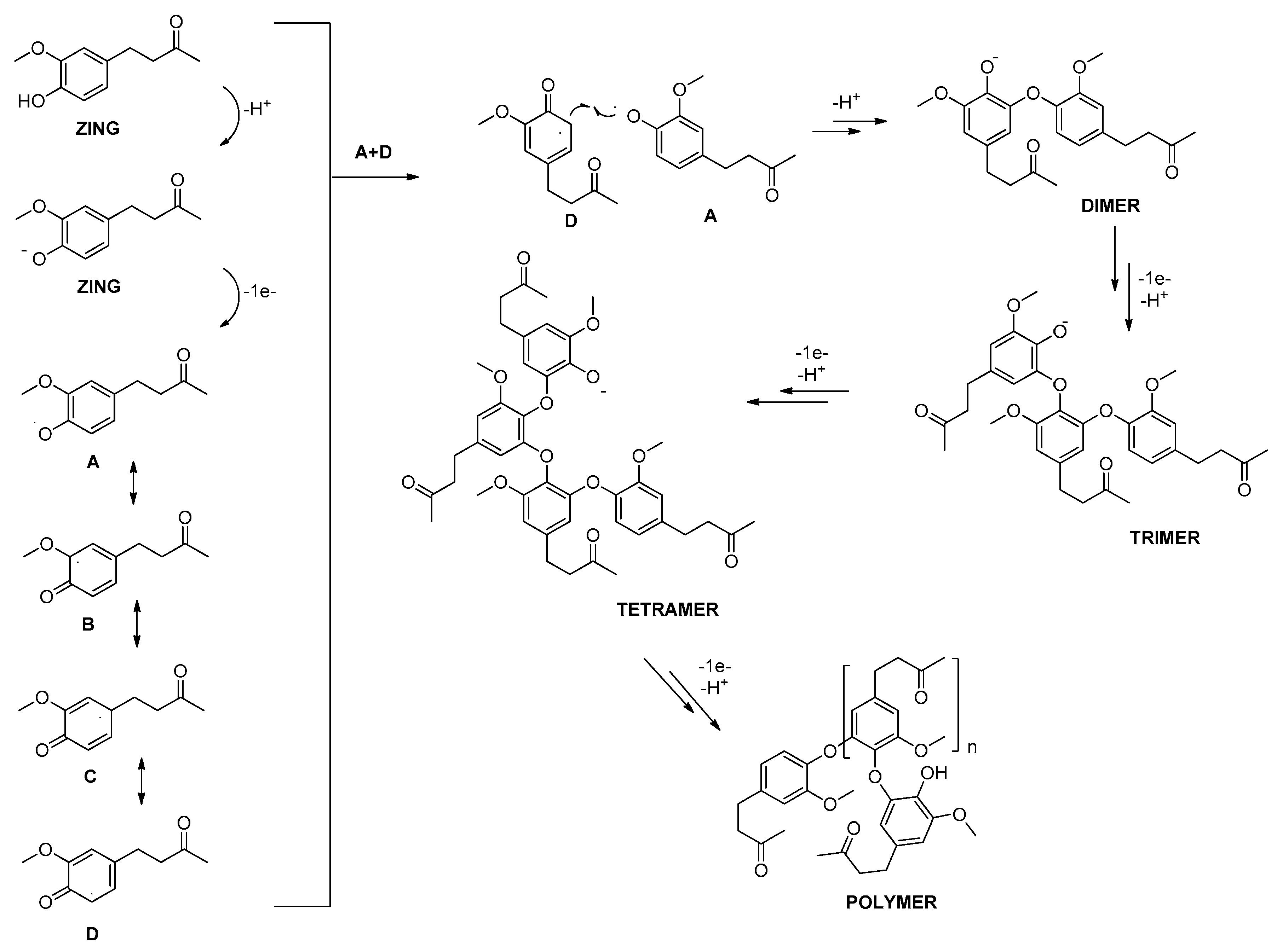 Molecules 28 06017 sch001