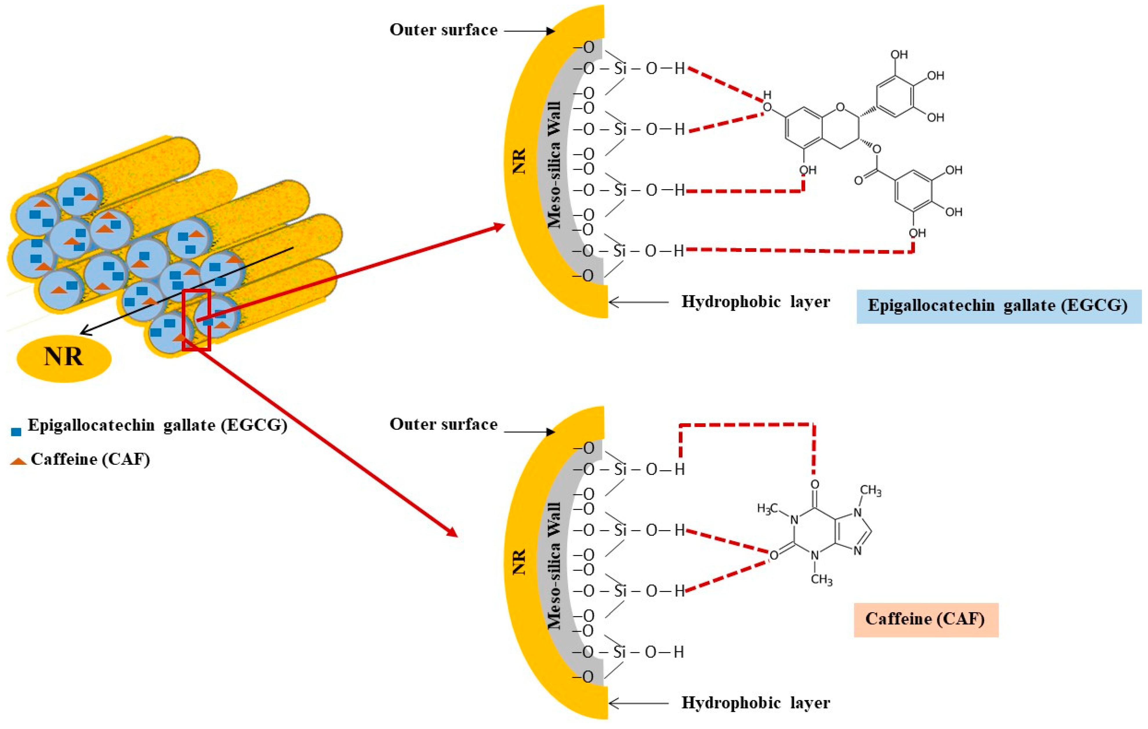 Molecules 28 06019 sch001 Molecules 28 06019 sch001