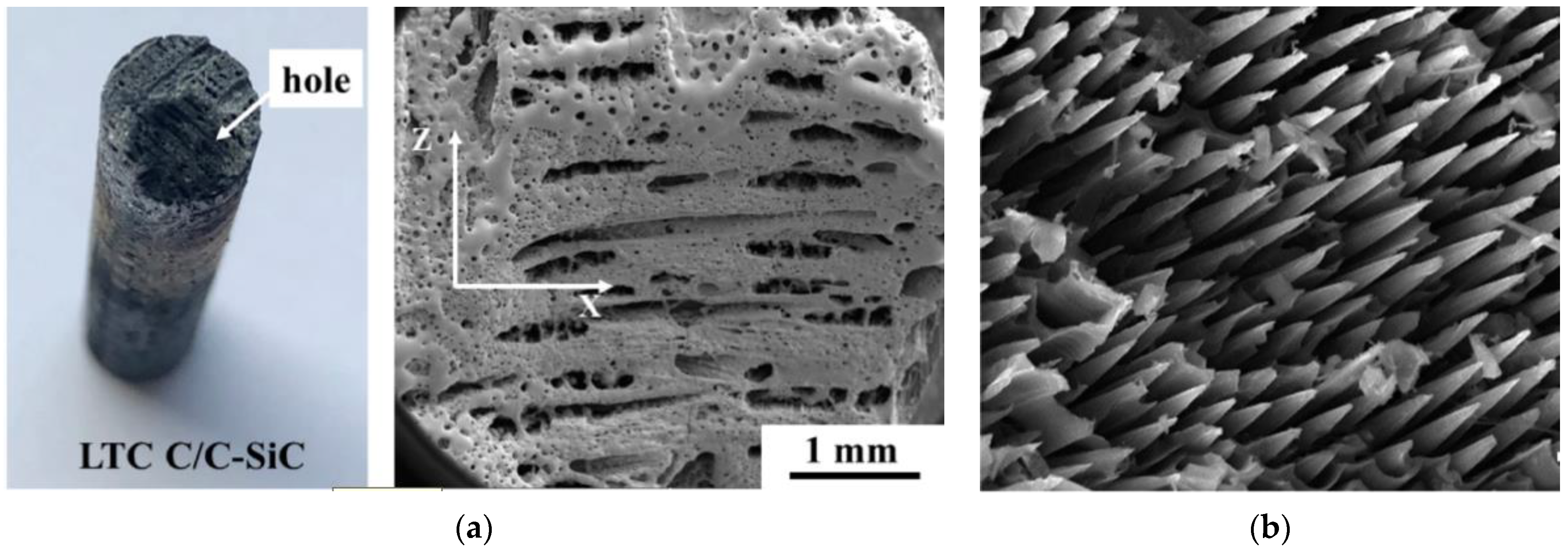 Molecules 28 06022 g003 Molecules 28 06022 g003