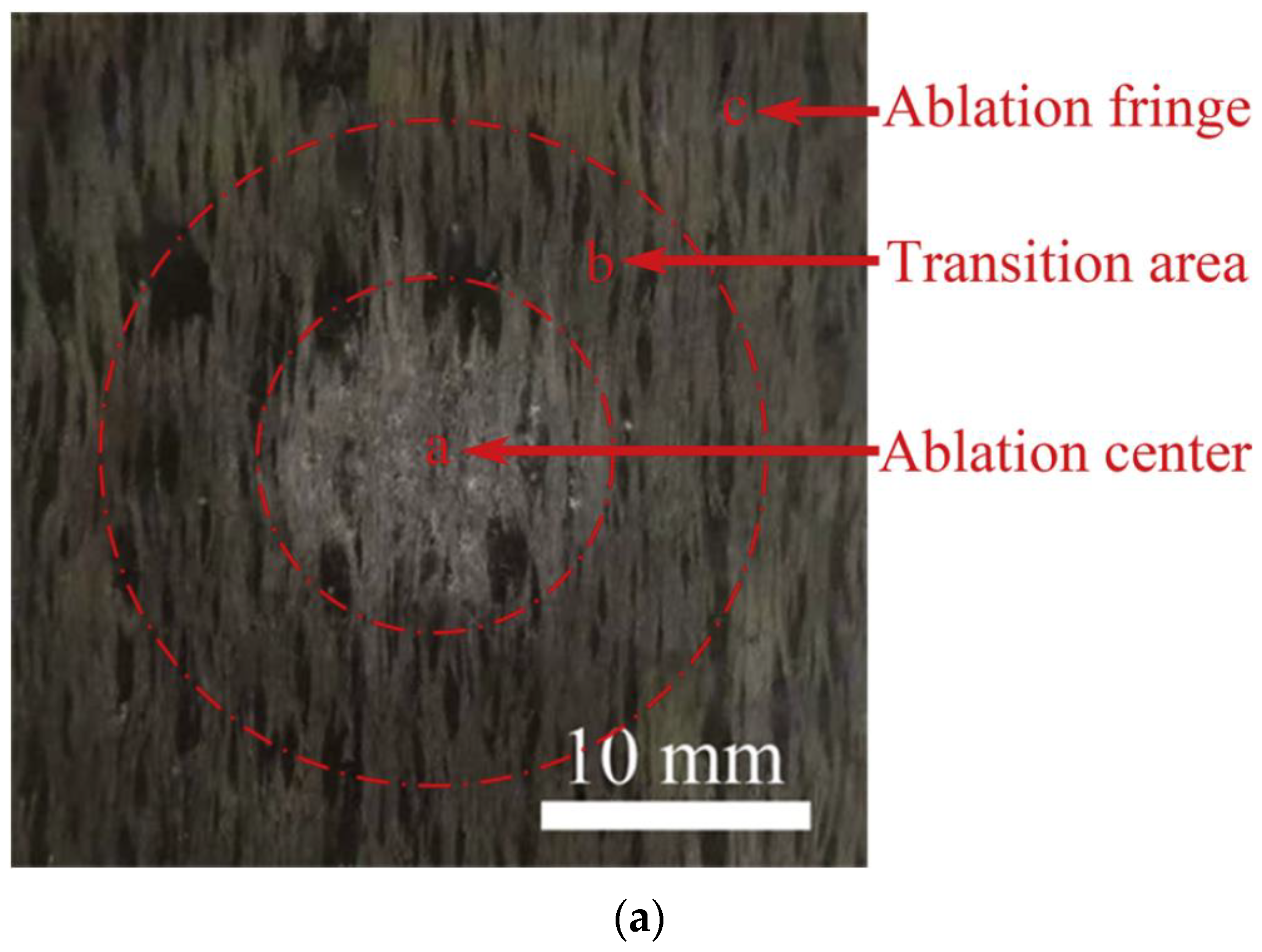Molecules 28 06022 g004a Molecules 28 06022 g004a