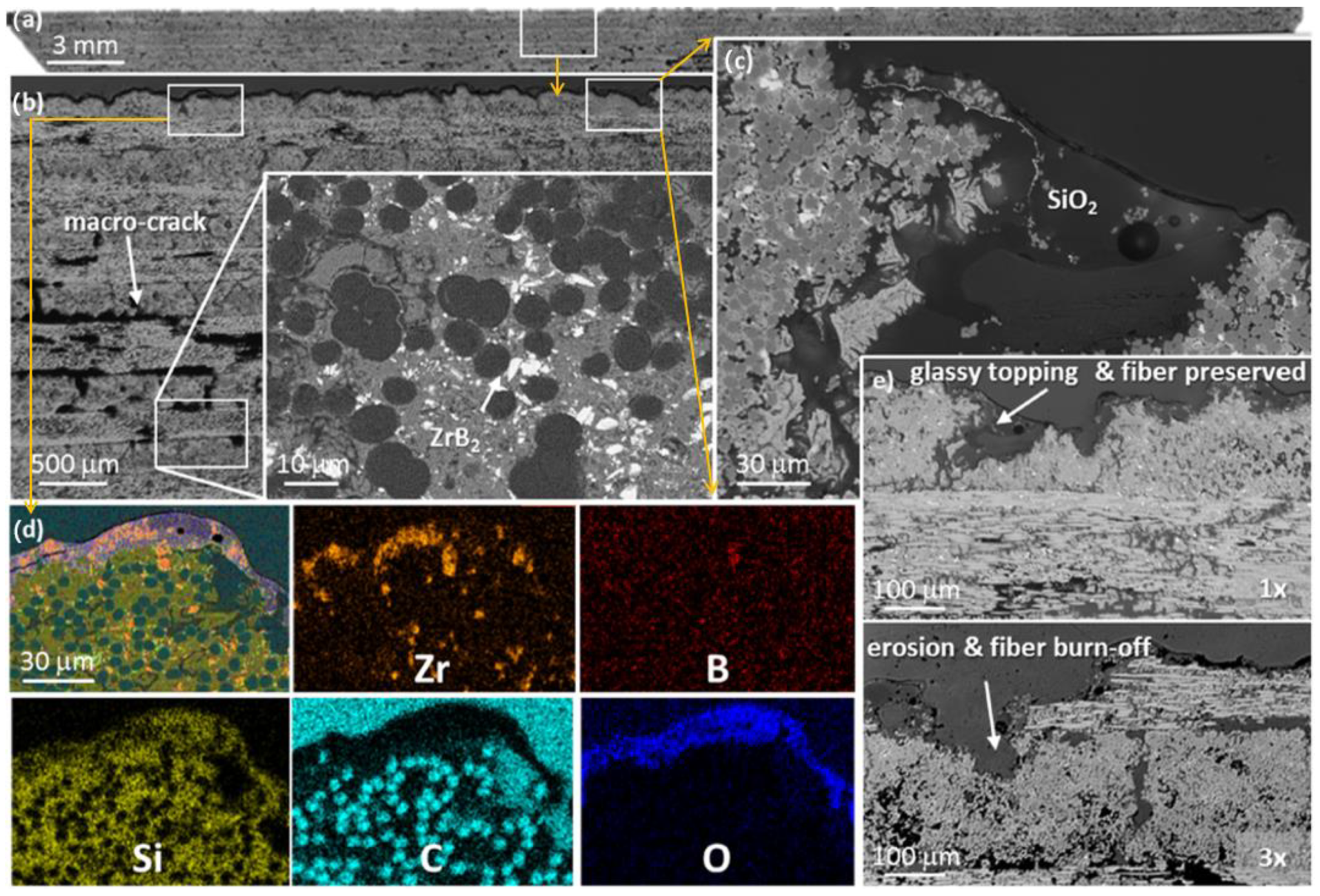 Molecules 28 06022 g005 Molecules 28 06022 g005
