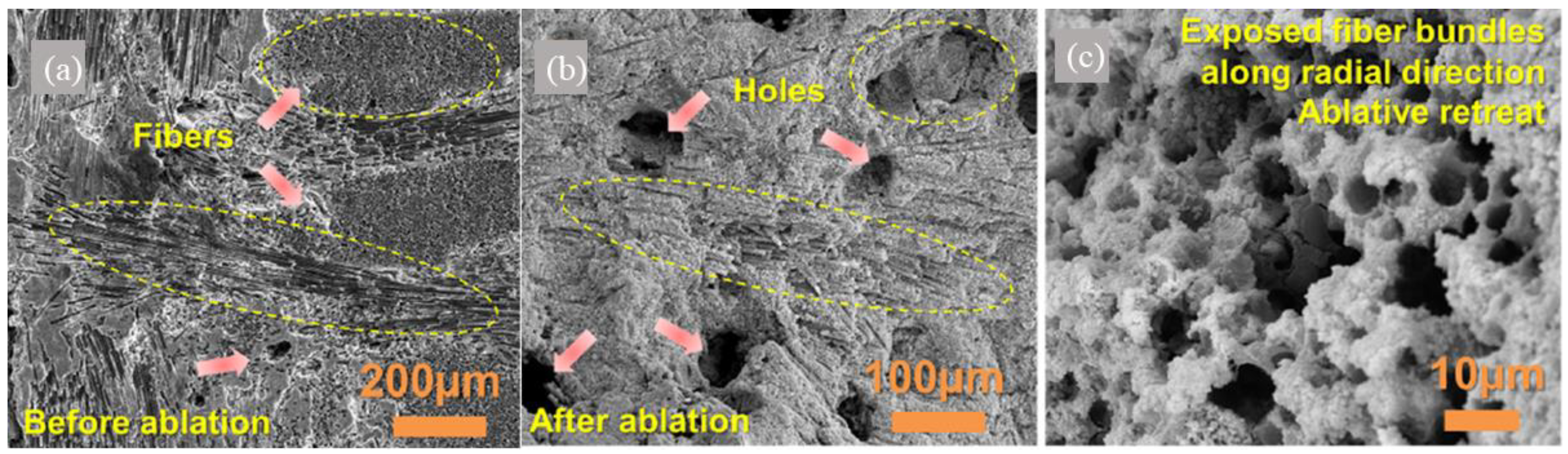 Molecules 28 06022 g007 Molecules 28 06022 g007
