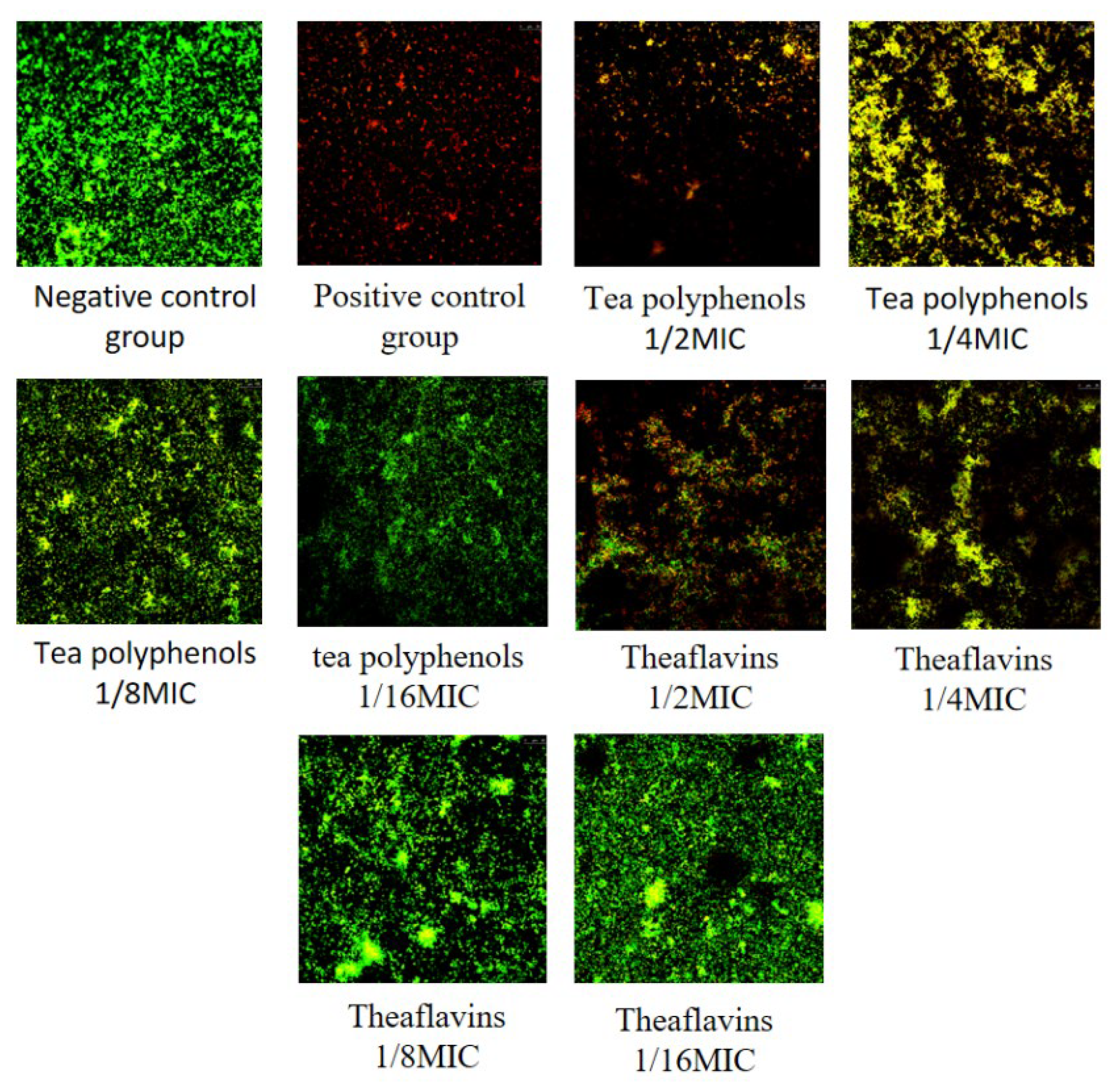 Molecules 28 06034 g018