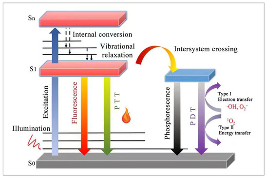 Recent Progress of Preparation Strategies in Organic