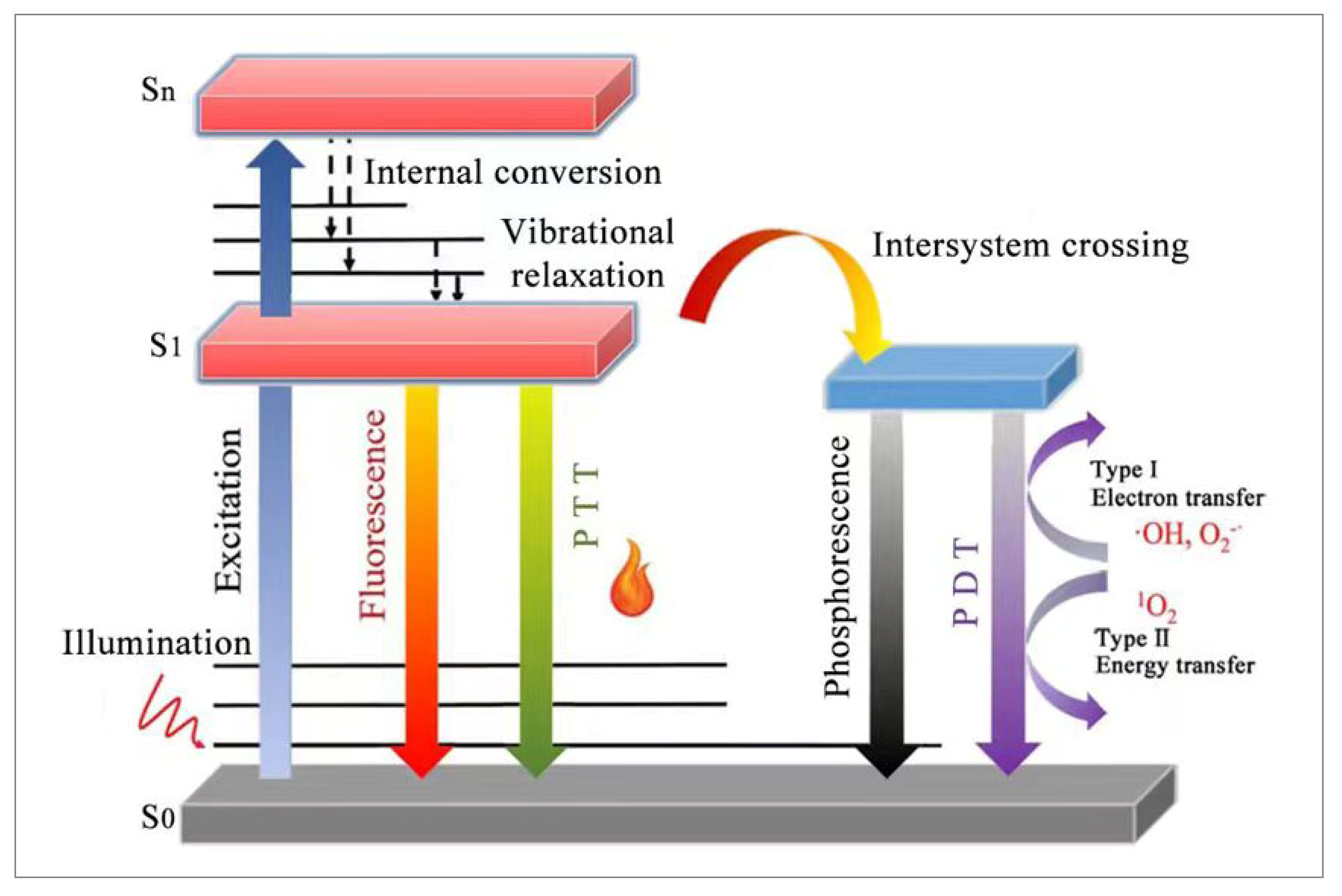 Molecules 28 06038 g002 Molecules 28 06038 g002