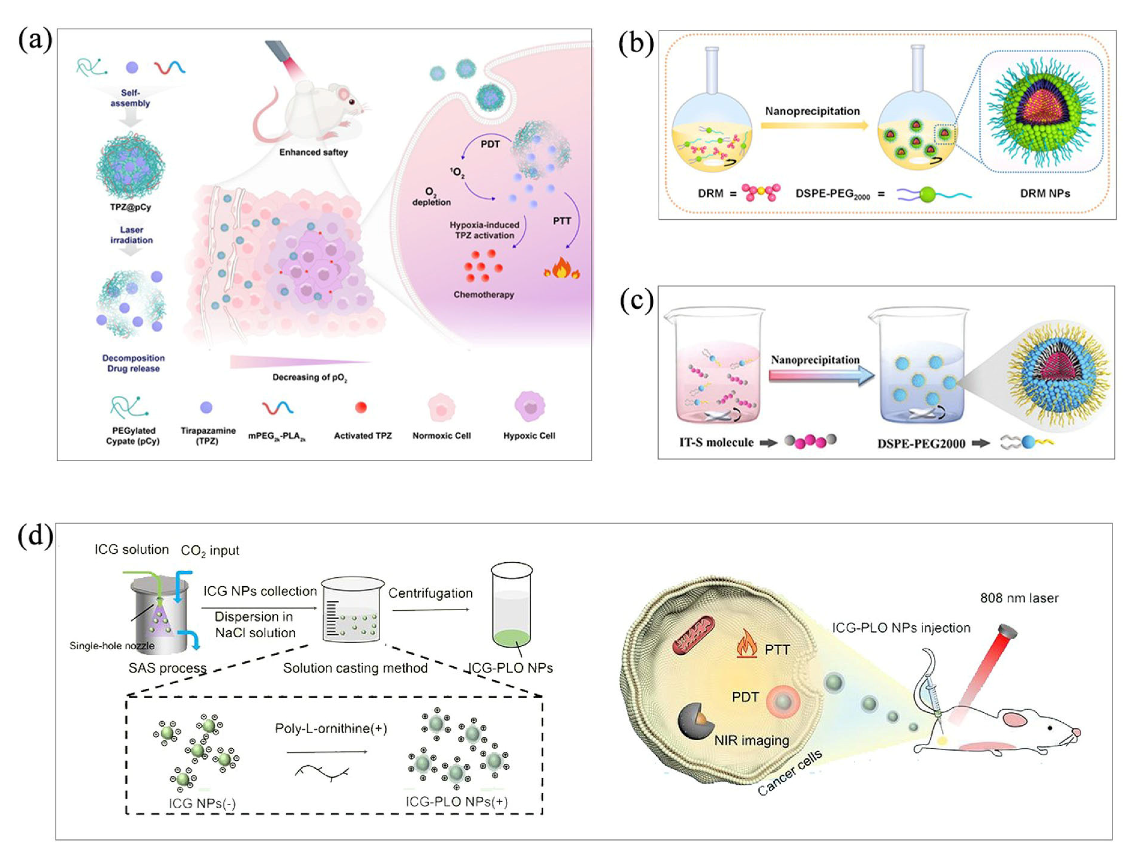Molecules 28 06038 g003 Molecules 28 06038 g003