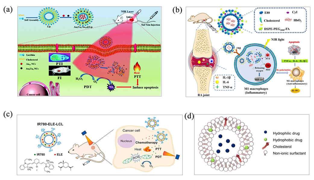 Molecules 28 06038 g004 Molecules 28 06038 g004