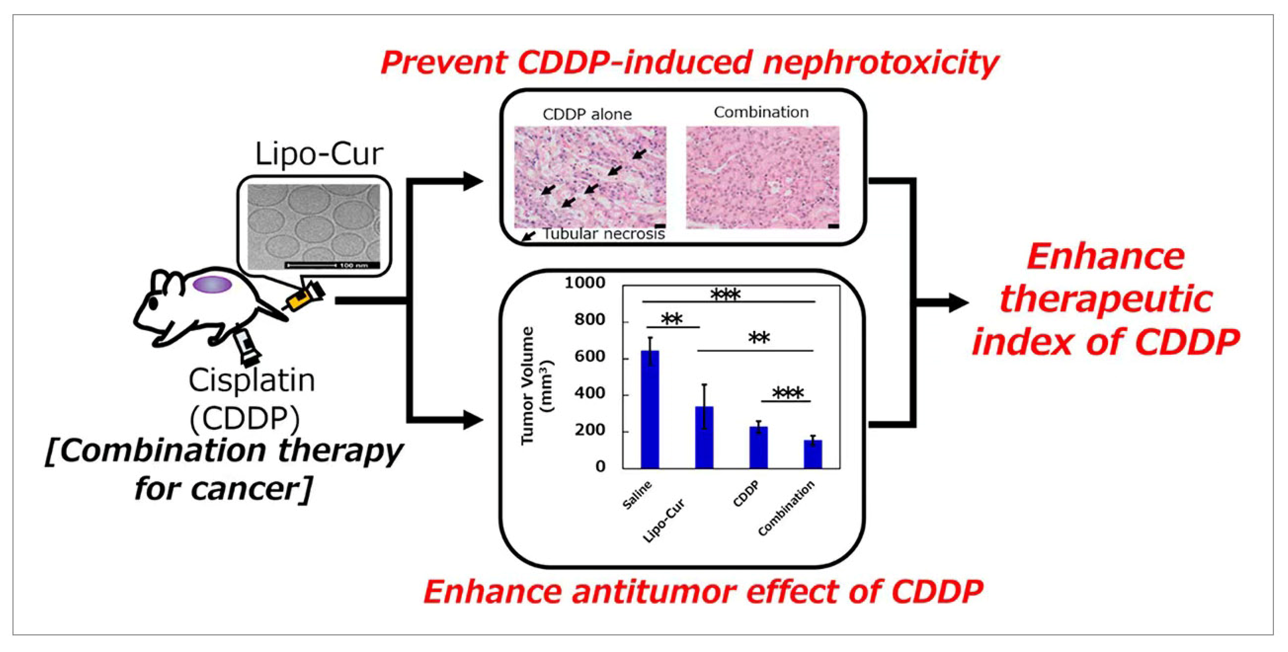 Molecules 28 06038 g006 Molecules 28 06038 g006