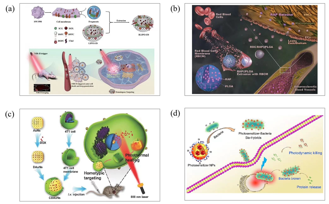 Molecules 28 06038 g007 Molecules 28 06038 g007