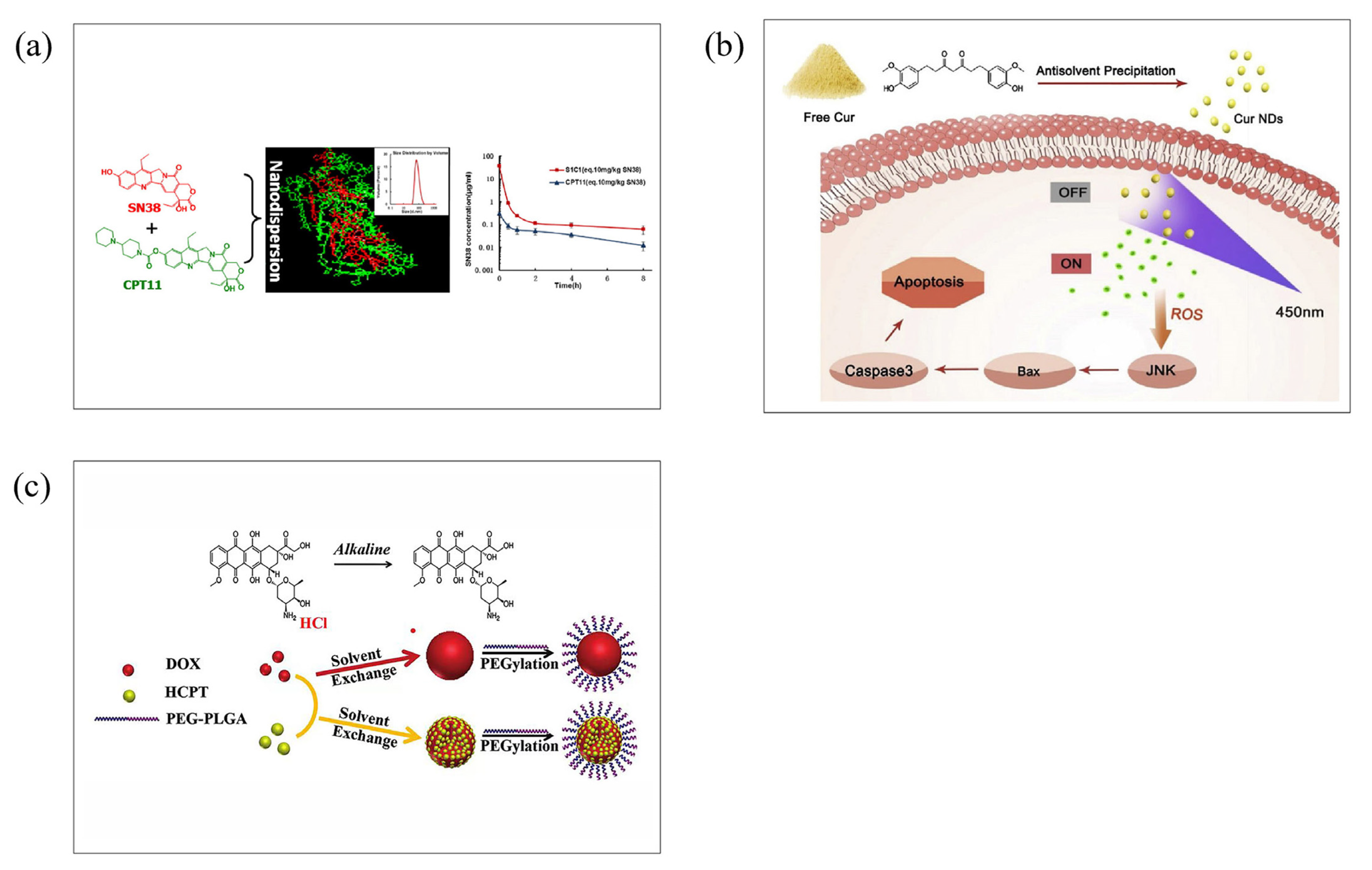 Molecules 28 06038 g008 Molecules 28 06038 g008