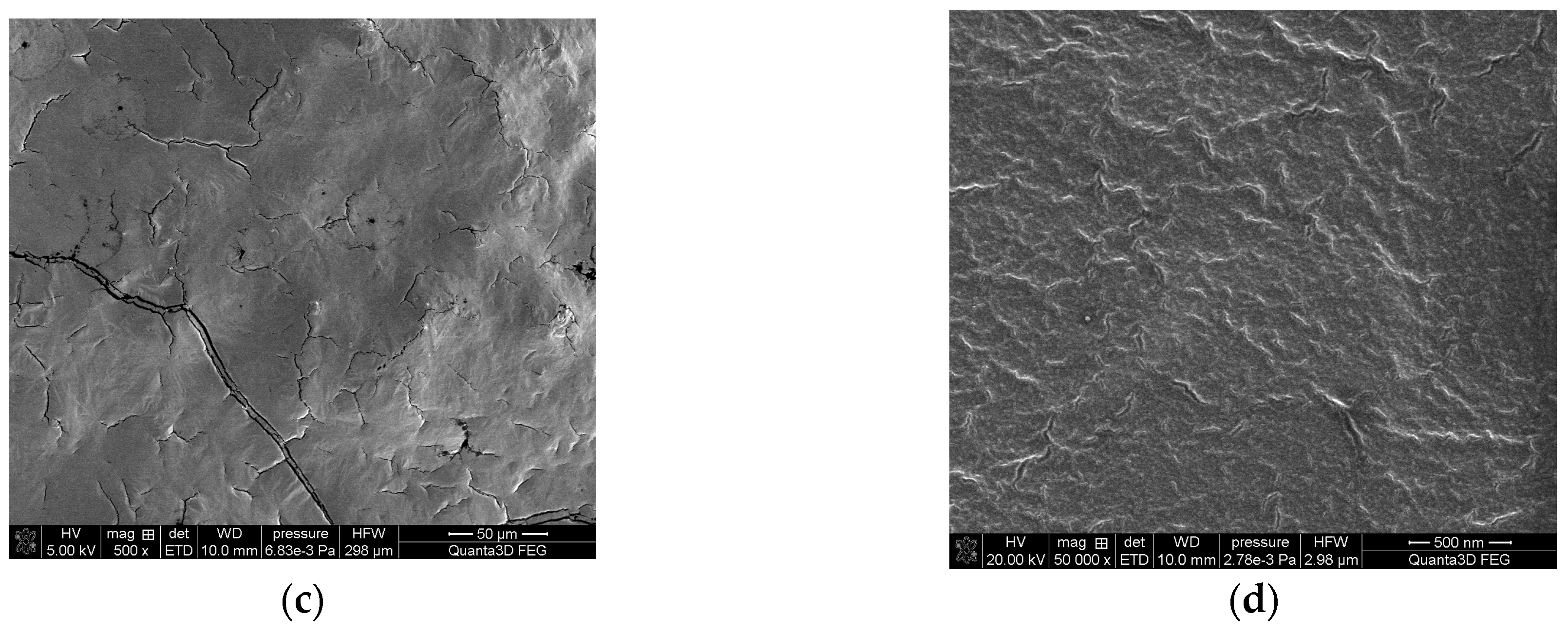 Molecules 28 06040 g002b Molecules 28 06040 g002b