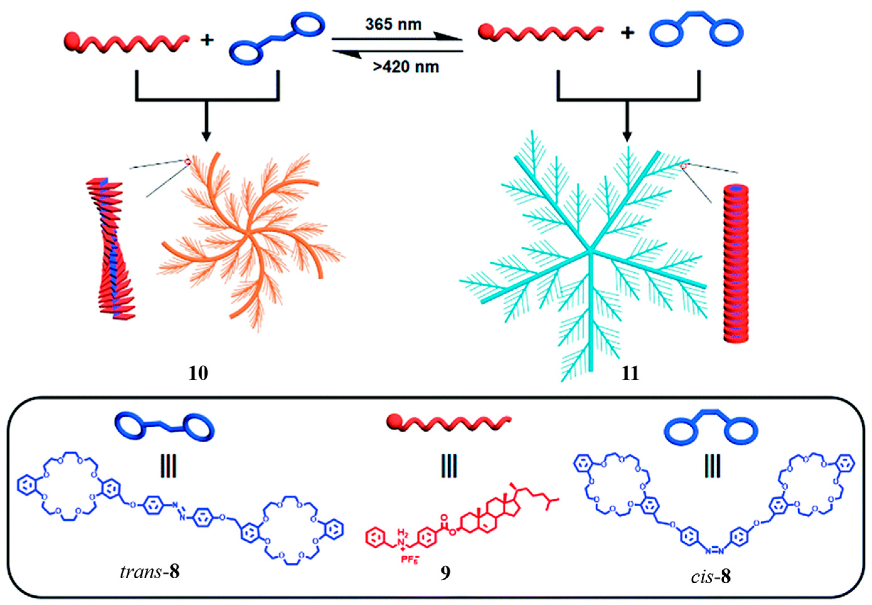 Molecules 28 06043 g003 Molecules 28 06043 g003