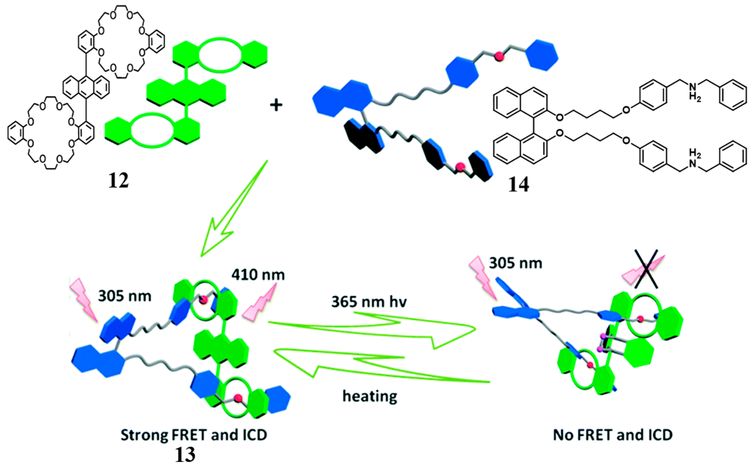 Molecules 28 06043 g004 Molecules 28 06043 g004