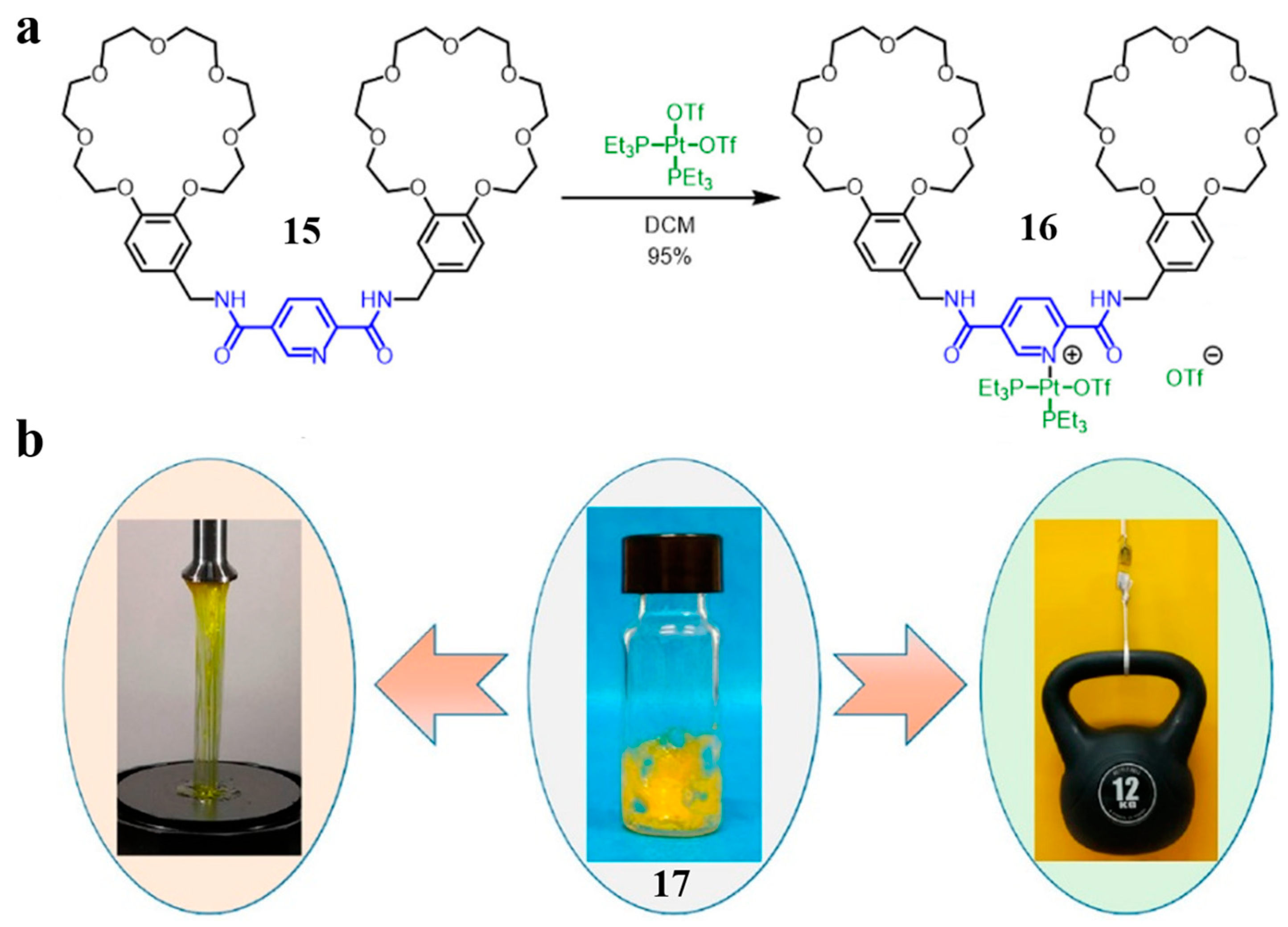 Molecules 28 06043 g005 Molecules 28 06043 g005