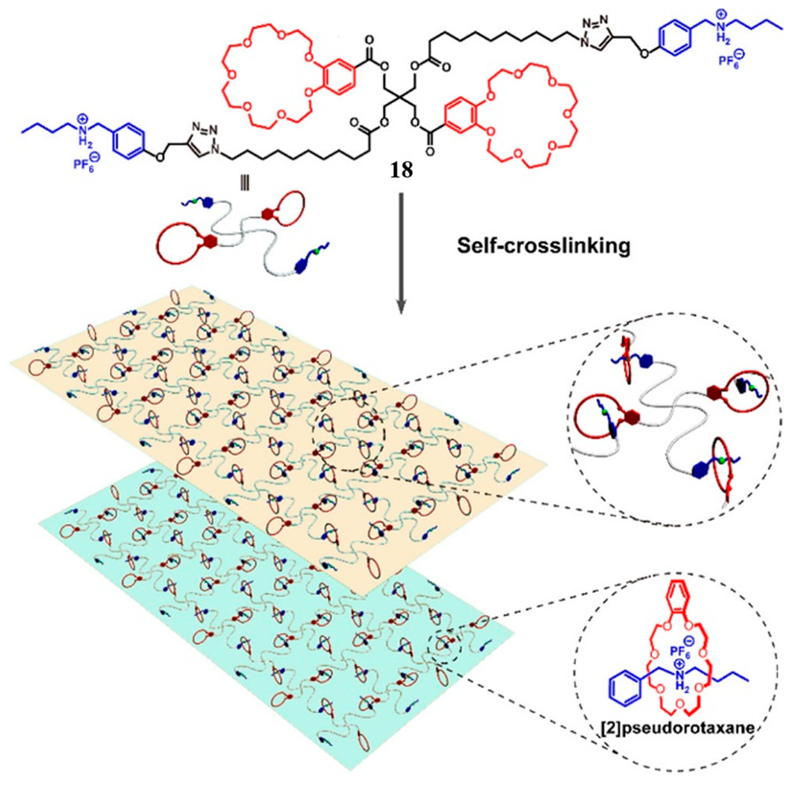 Molecules 28 06043 g006 Molecules 28 06043 g006