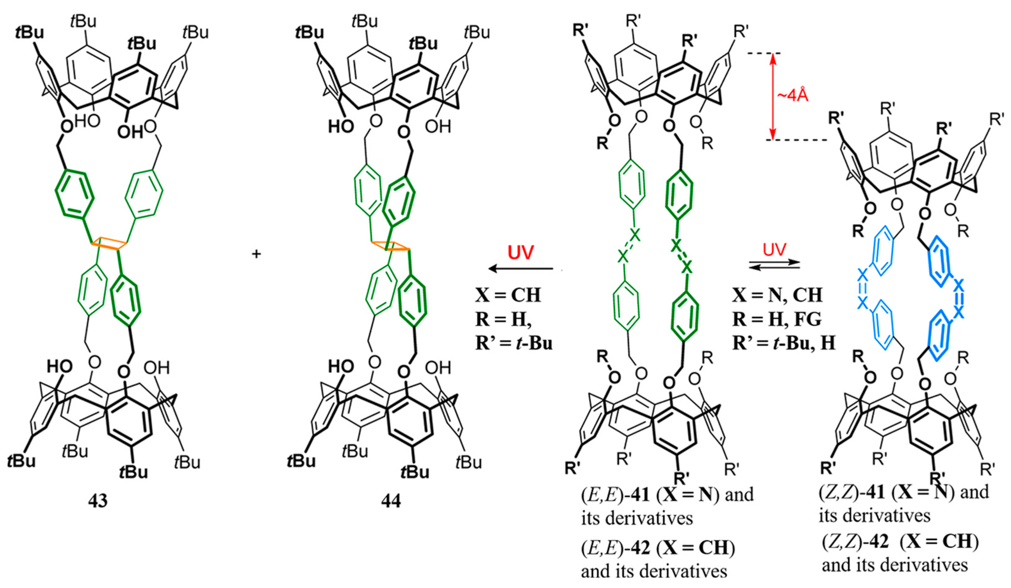 Molecules 28 06043 g012 Molecules 28 06043 g012