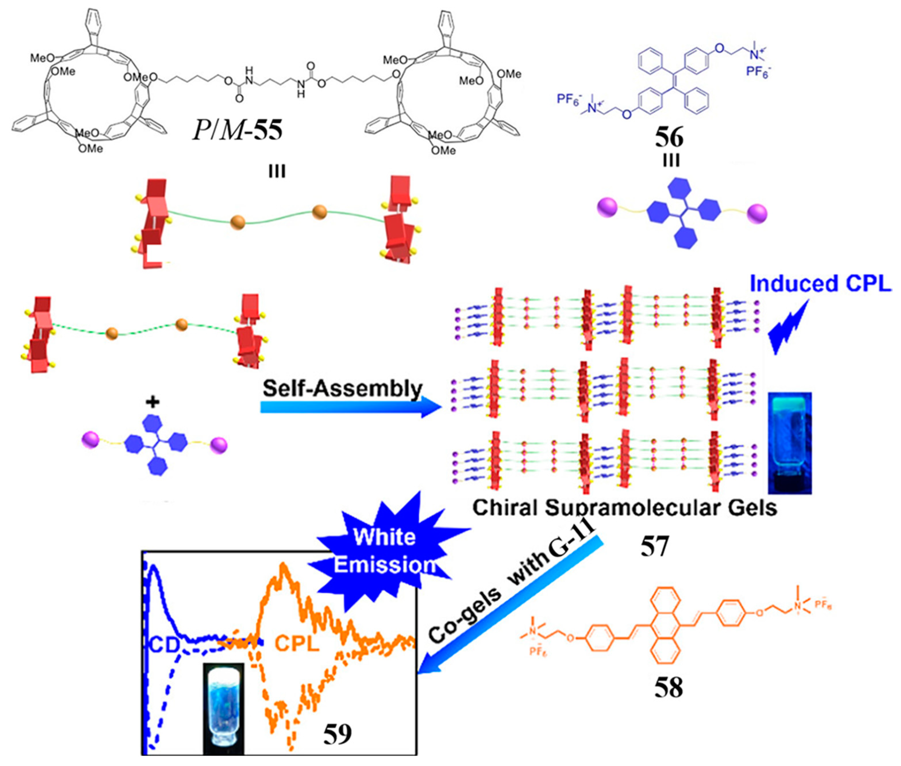 Molecules 28 06043 g016 Molecules 28 06043 g016