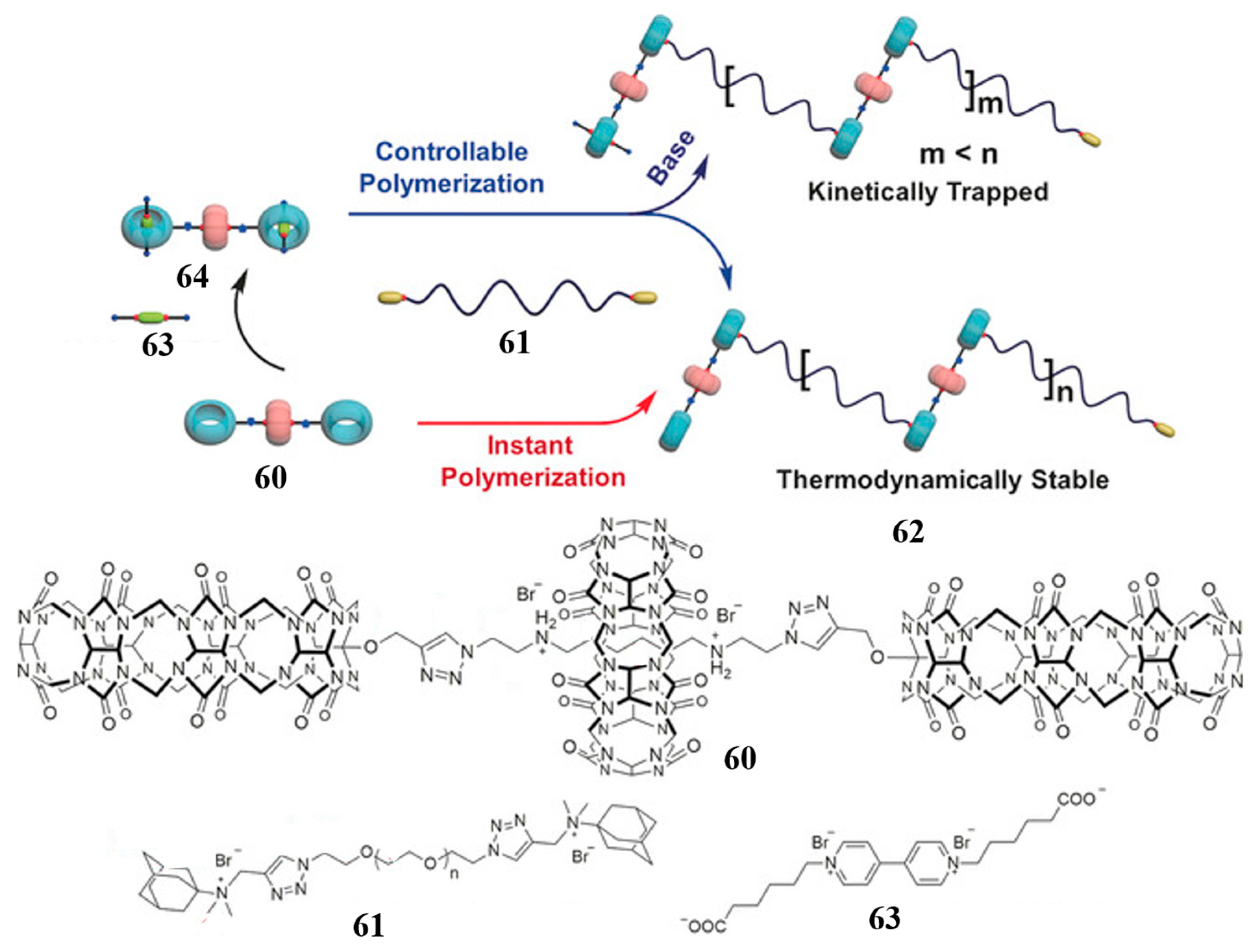 Molecules 28 06043 g017 Molecules 28 06043 g017