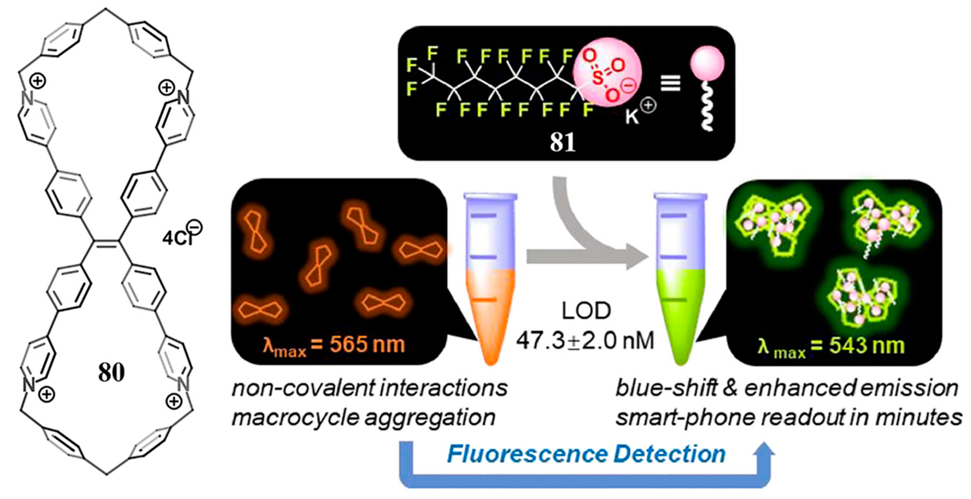 Molecules 28 06043 g021 Molecules 28 06043 g021