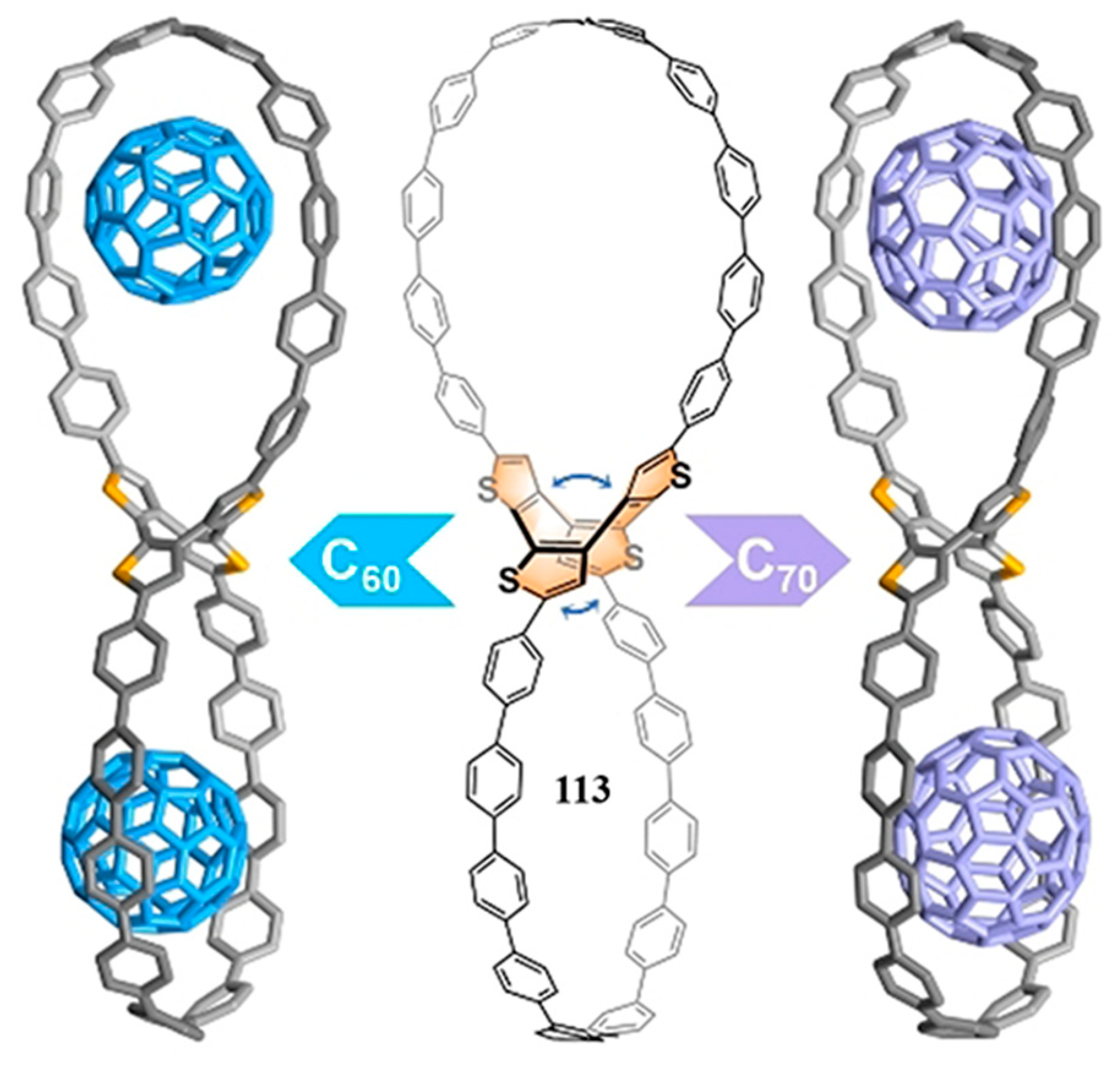 Molecules 28 06043 g033 Molecules 28 06043 g033