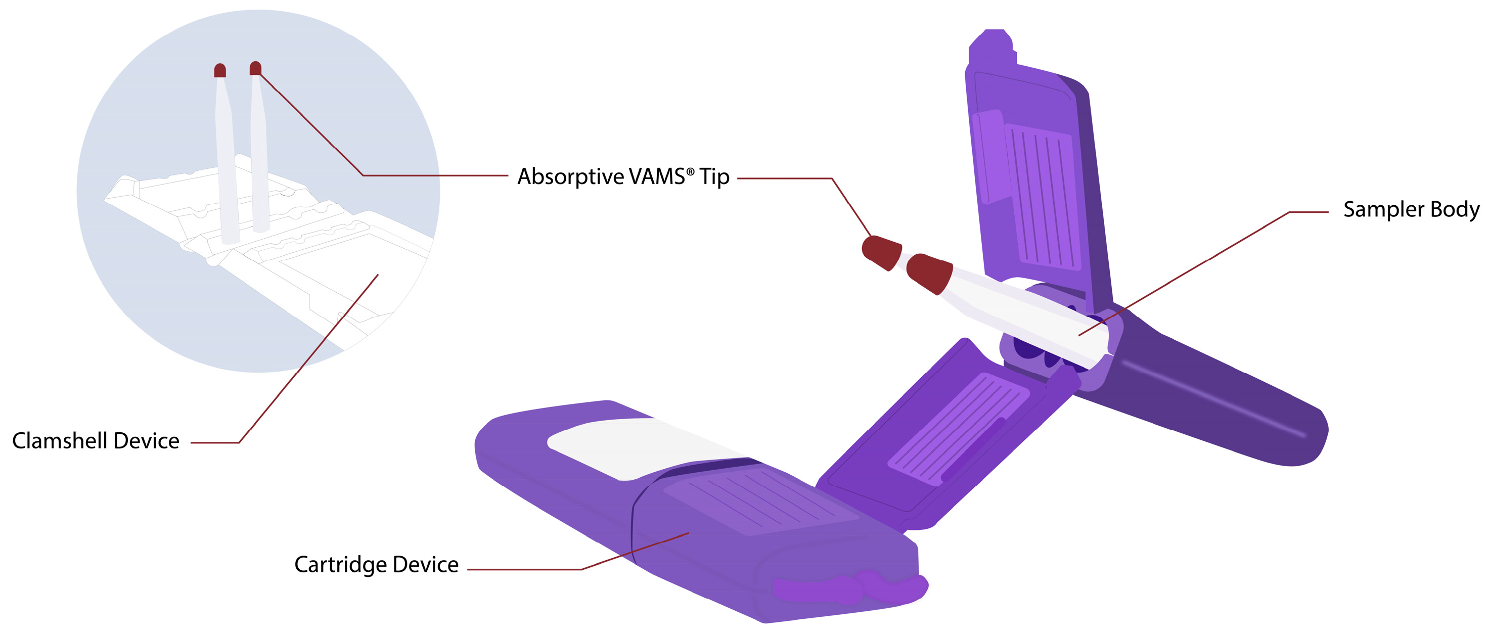 Molecules 28 06046 g001