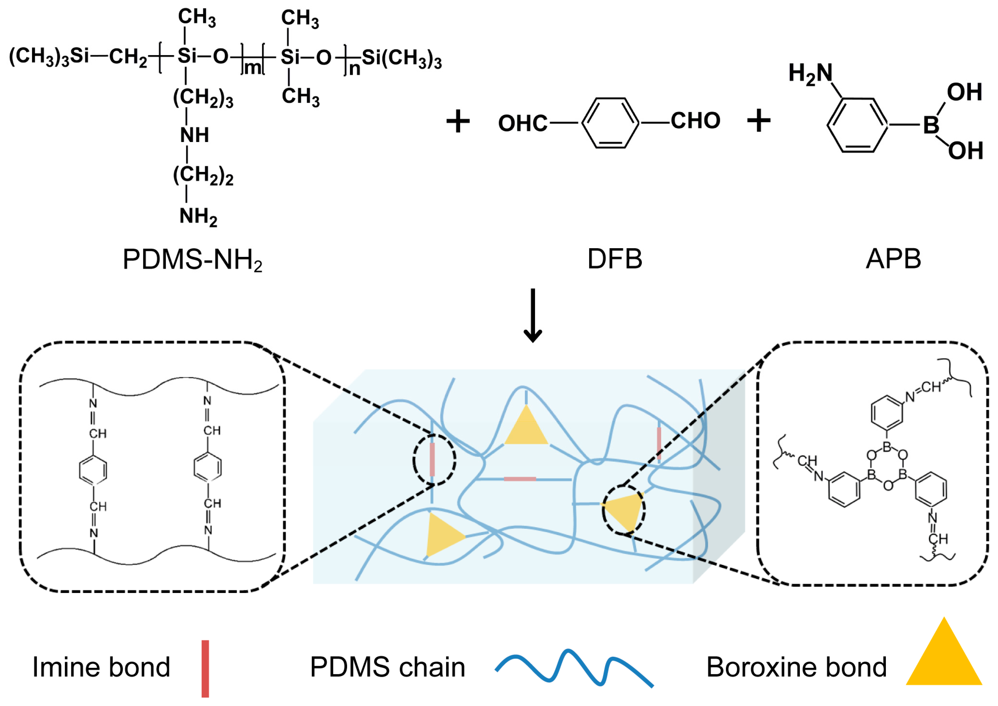 Molecules 28 06049 g001