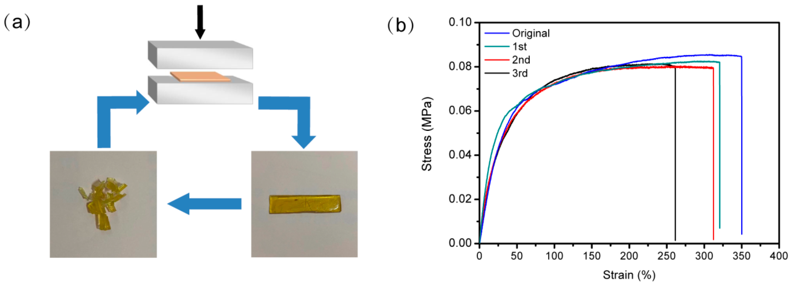 Molecules 28 06049 g004