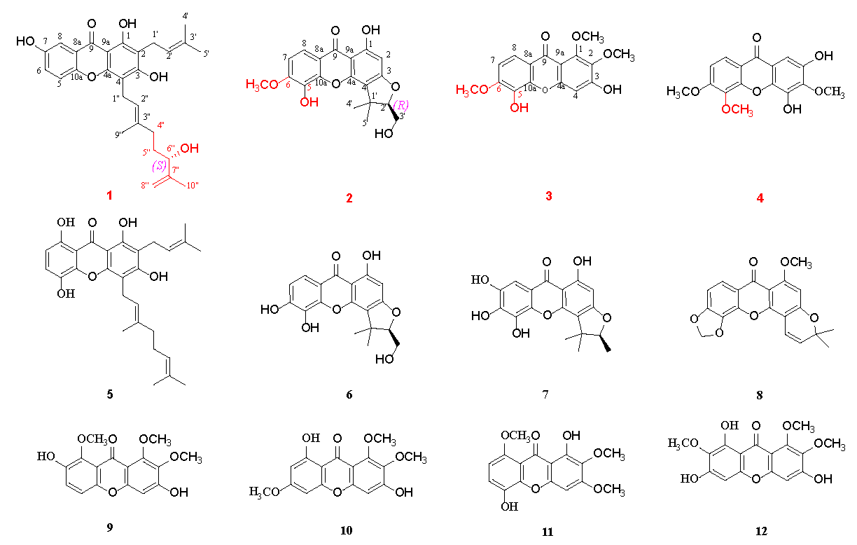 Molecules 28 06050 g001