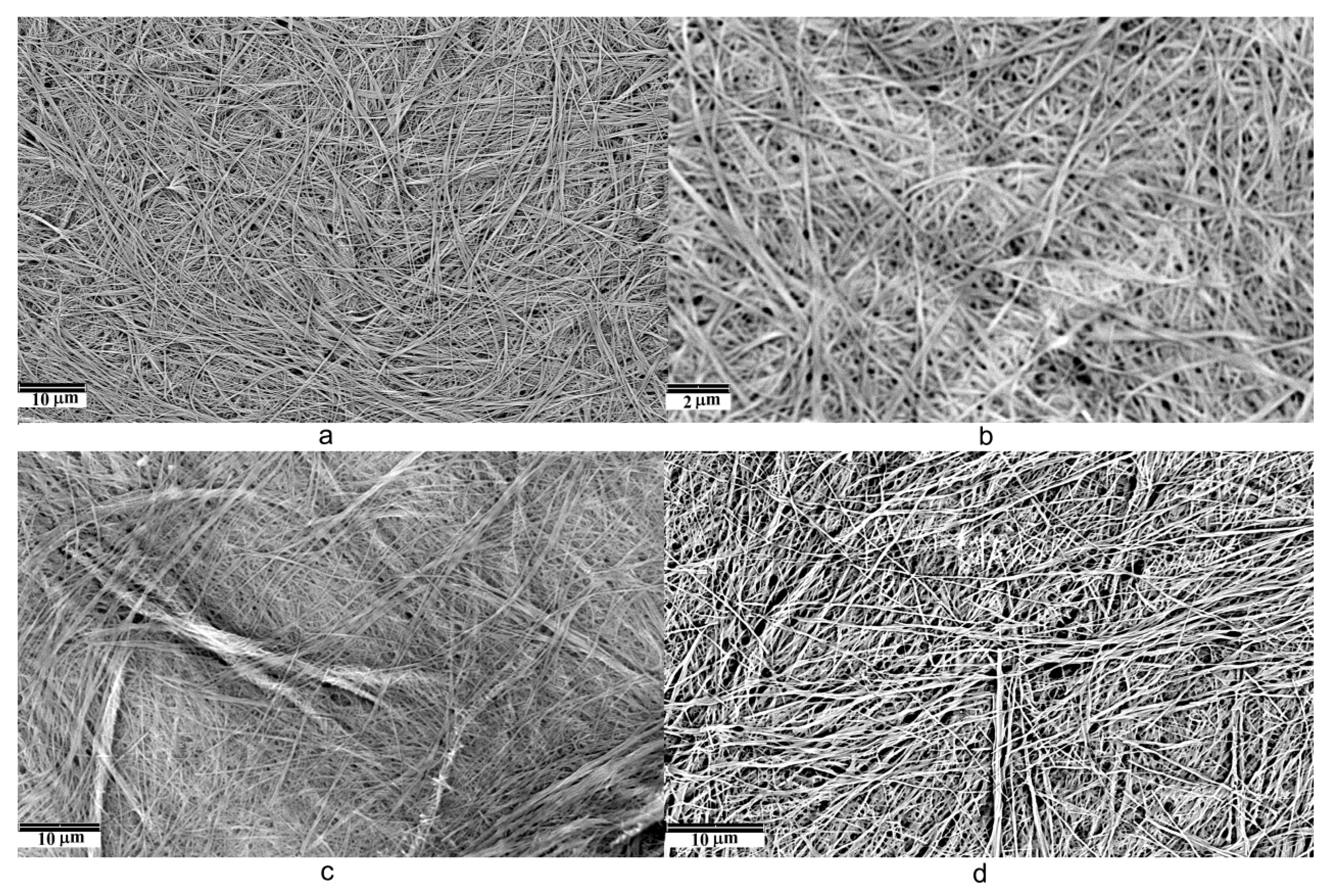 Molecules 28 06056 g006 Molecules 28 06056 g006