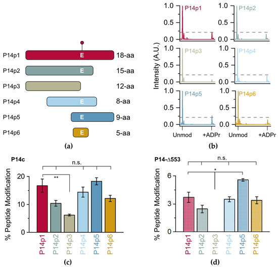 Using TLC-MALDI-TOF to Interrogate In Vitro Peptidyl Proximal ...