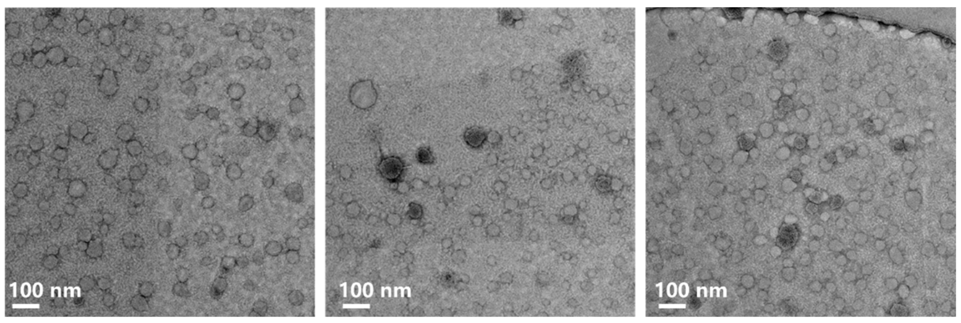 Molecules 28 06062 g003 Molecules 28 06062 g003