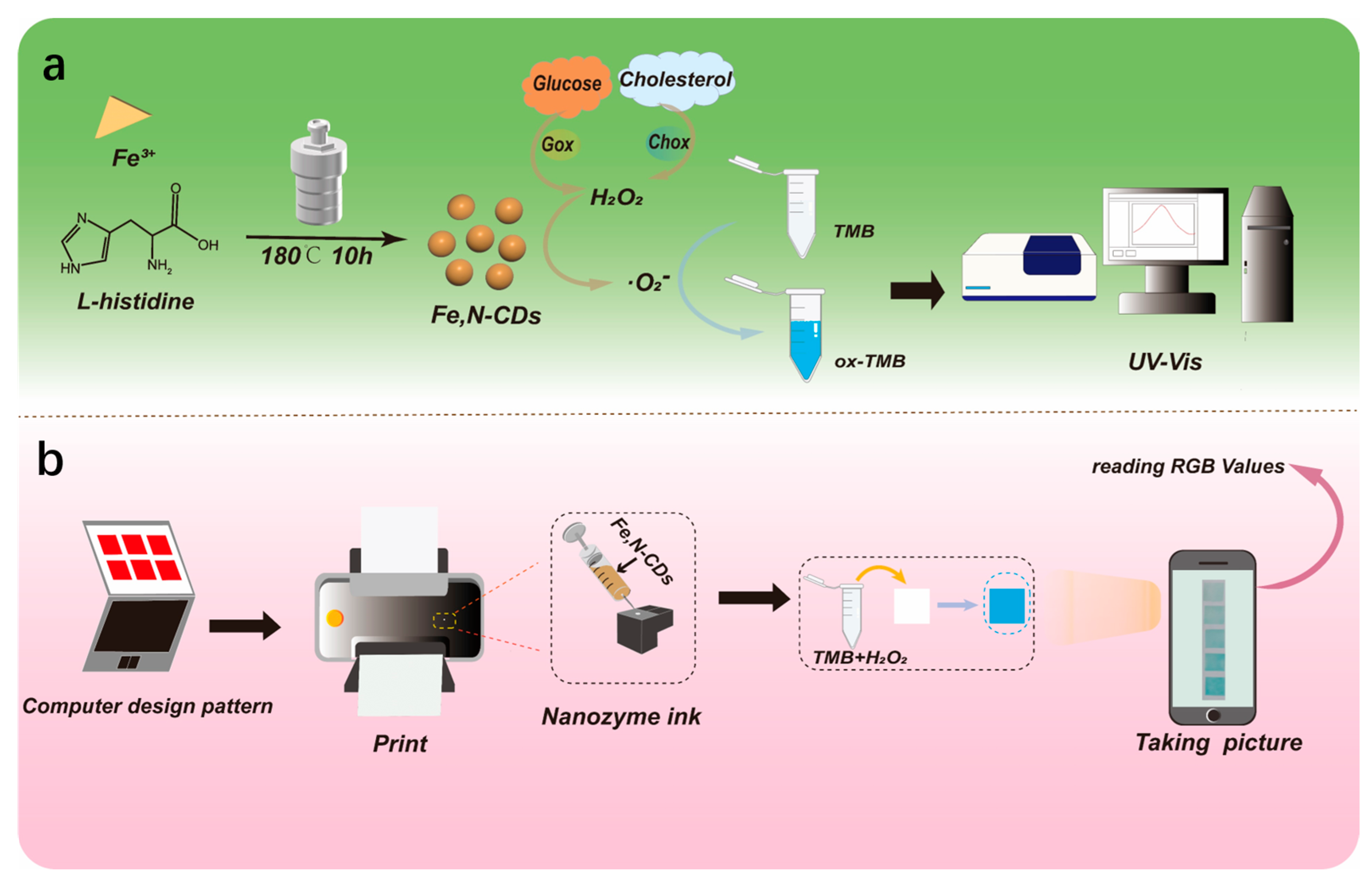 Molecules 28 06064 g001