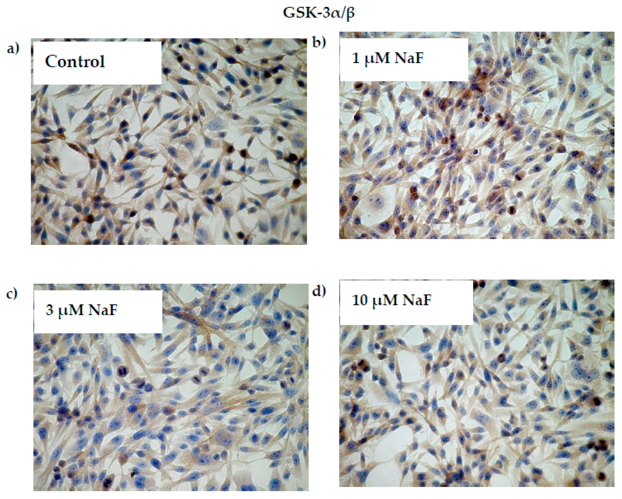 Molecules 28 06065 g005a Molecules 28 06065 g005a