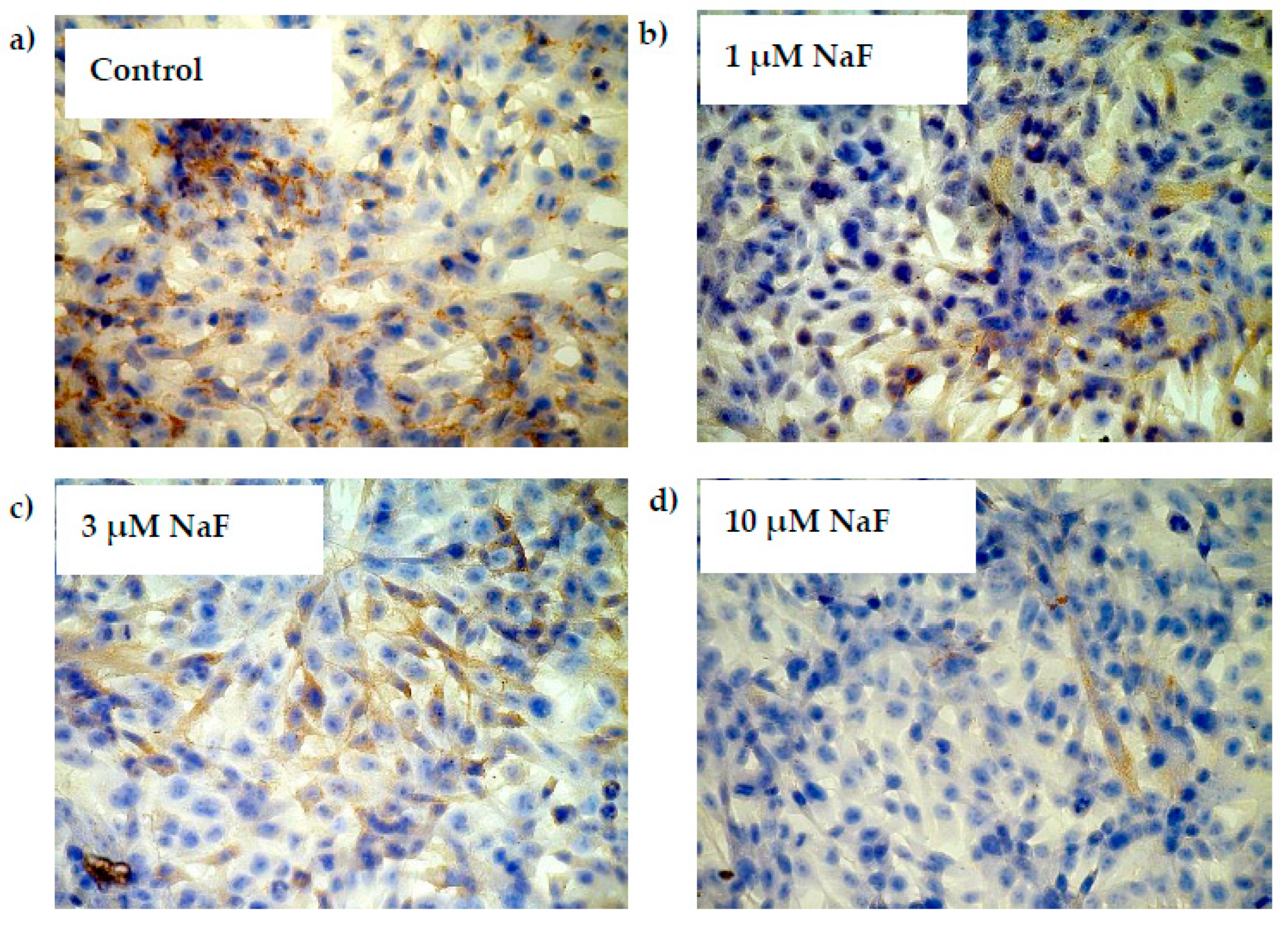 Molecules 28 06065 g007 Molecules 28 06065 g007