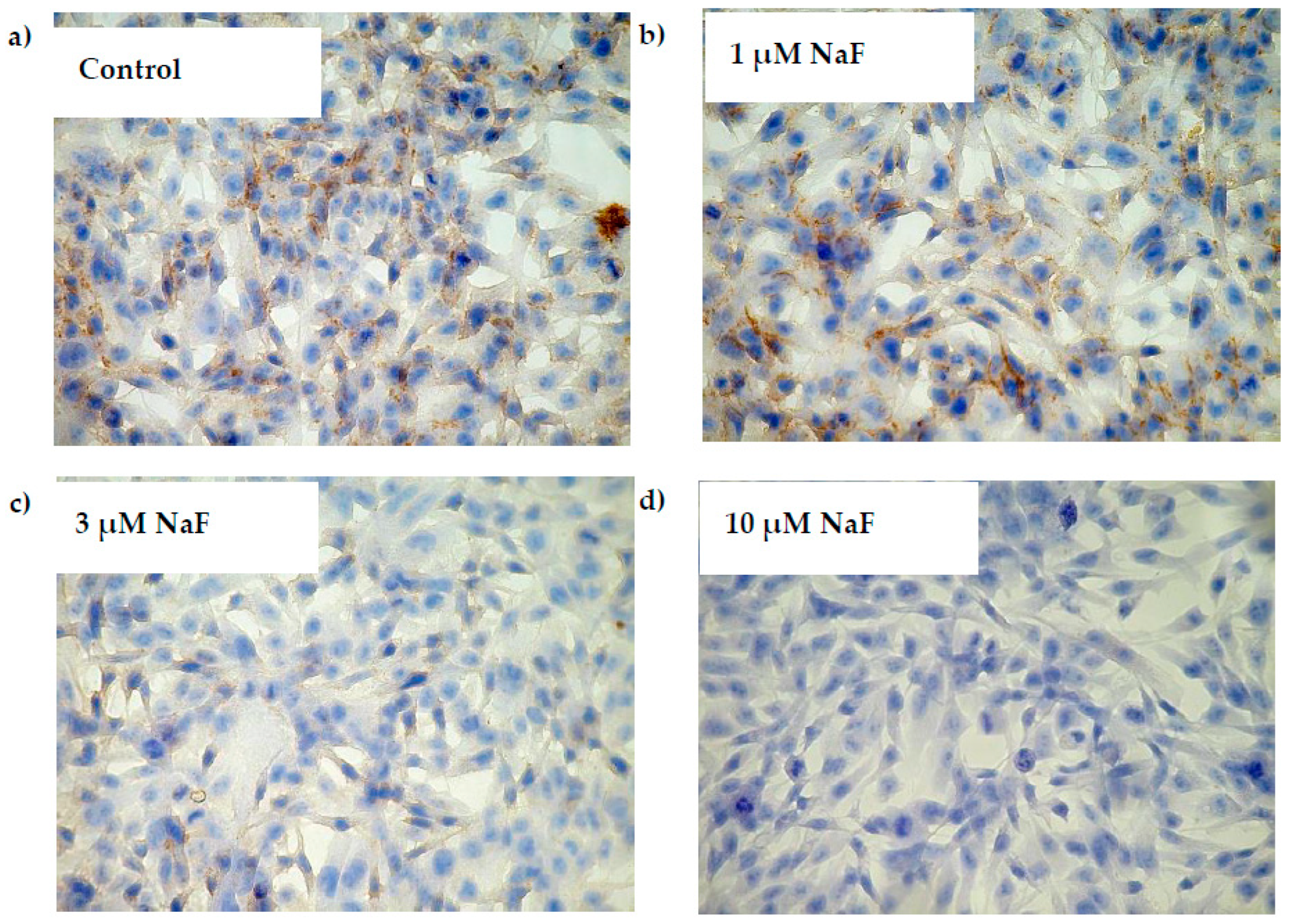 Molecules 28 06065 g009 Molecules 28 06065 g009