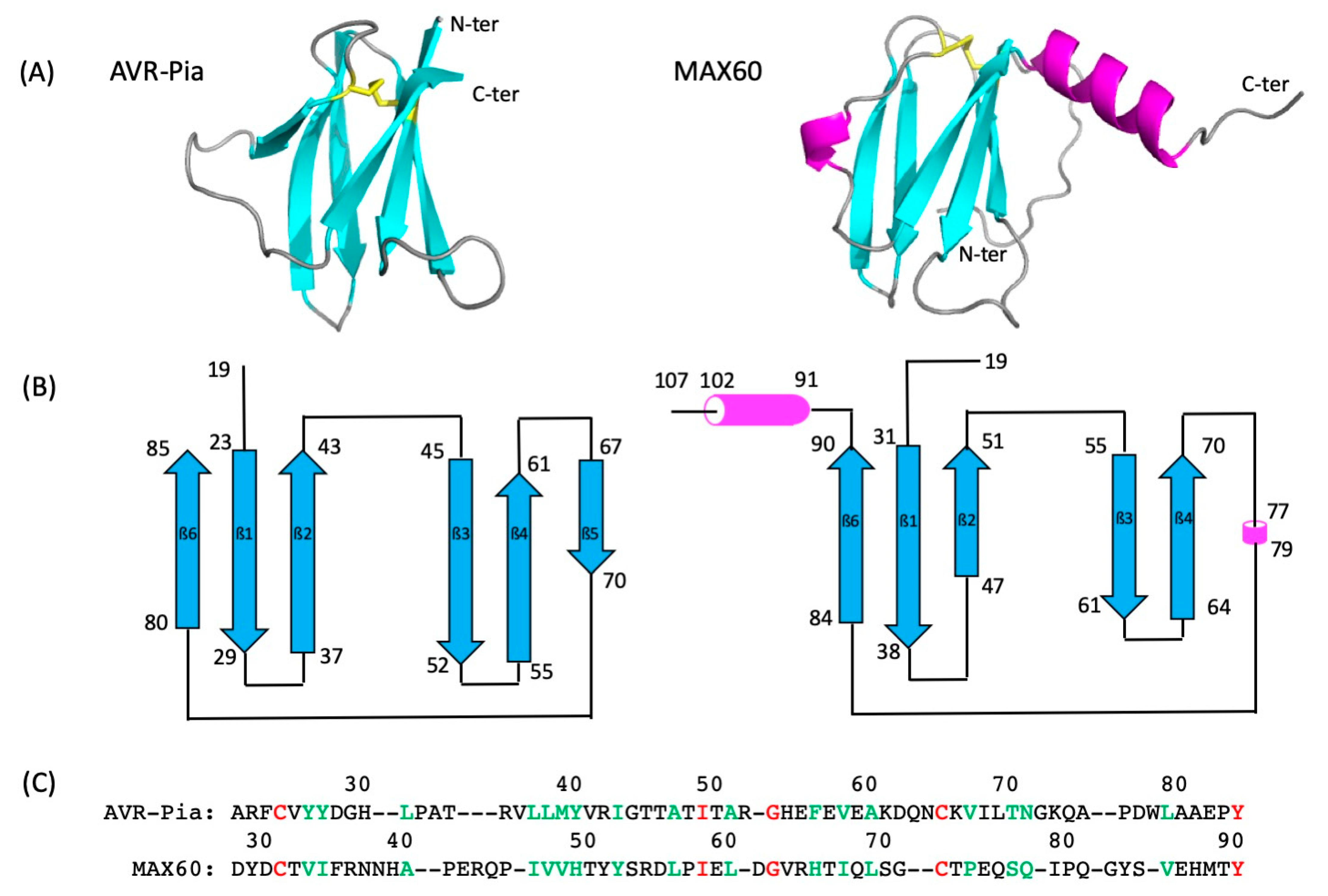 Molecules 28 06068 g001 Molecules 28 06068 g001