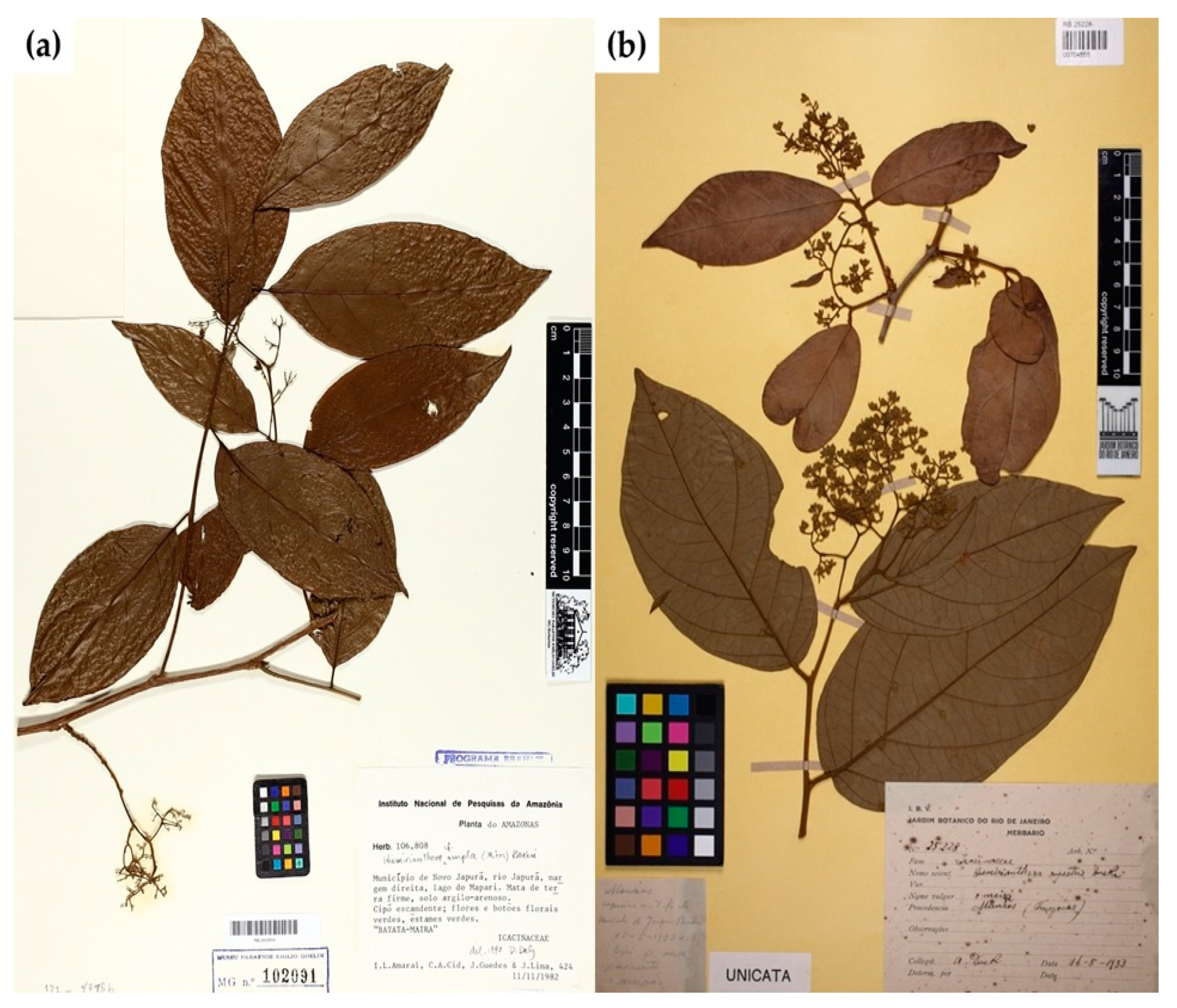 Molecules 28 06069 g001