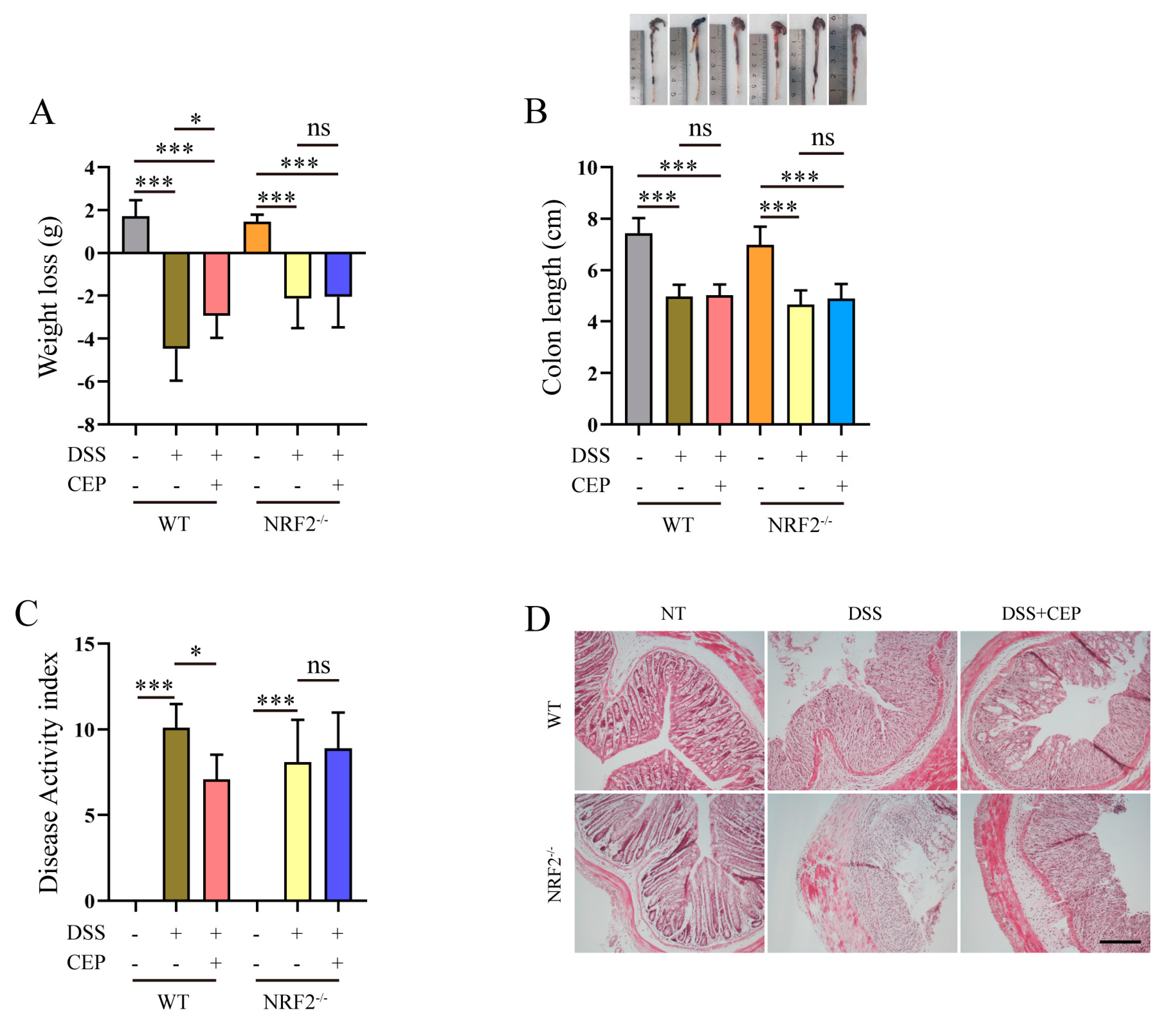 Molecules 28 06070 g001
