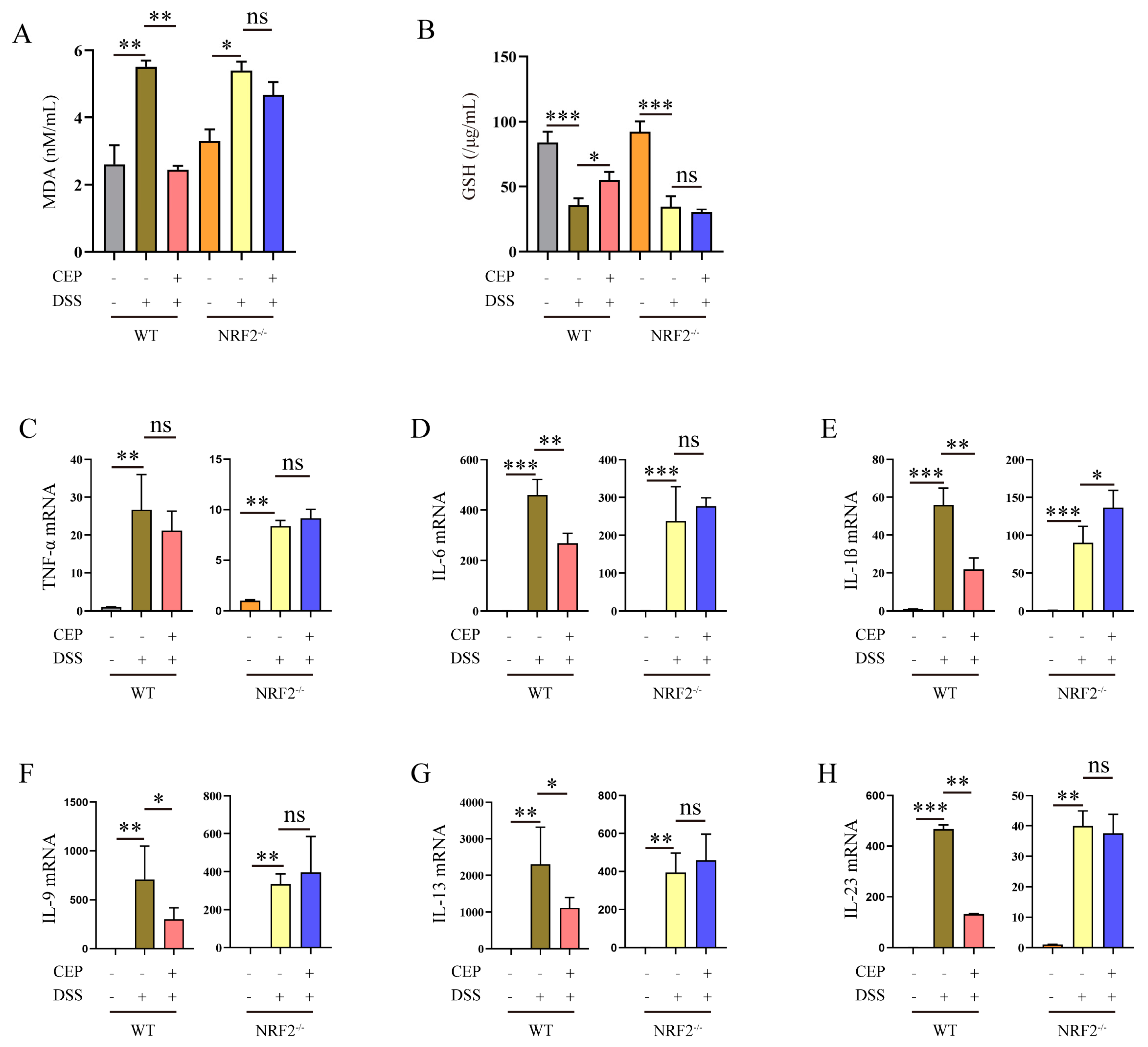Molecules 28 06070 g002