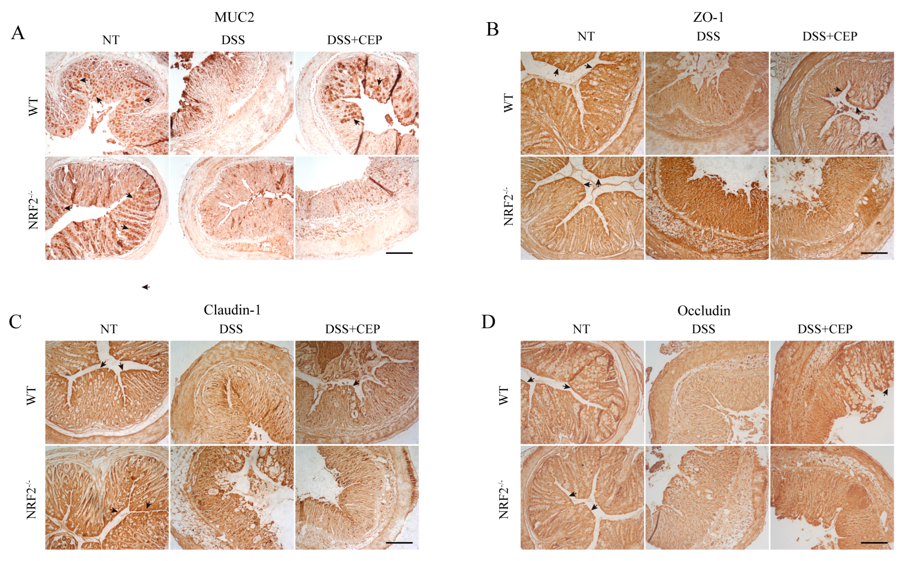 Molecules 28 06070 g003