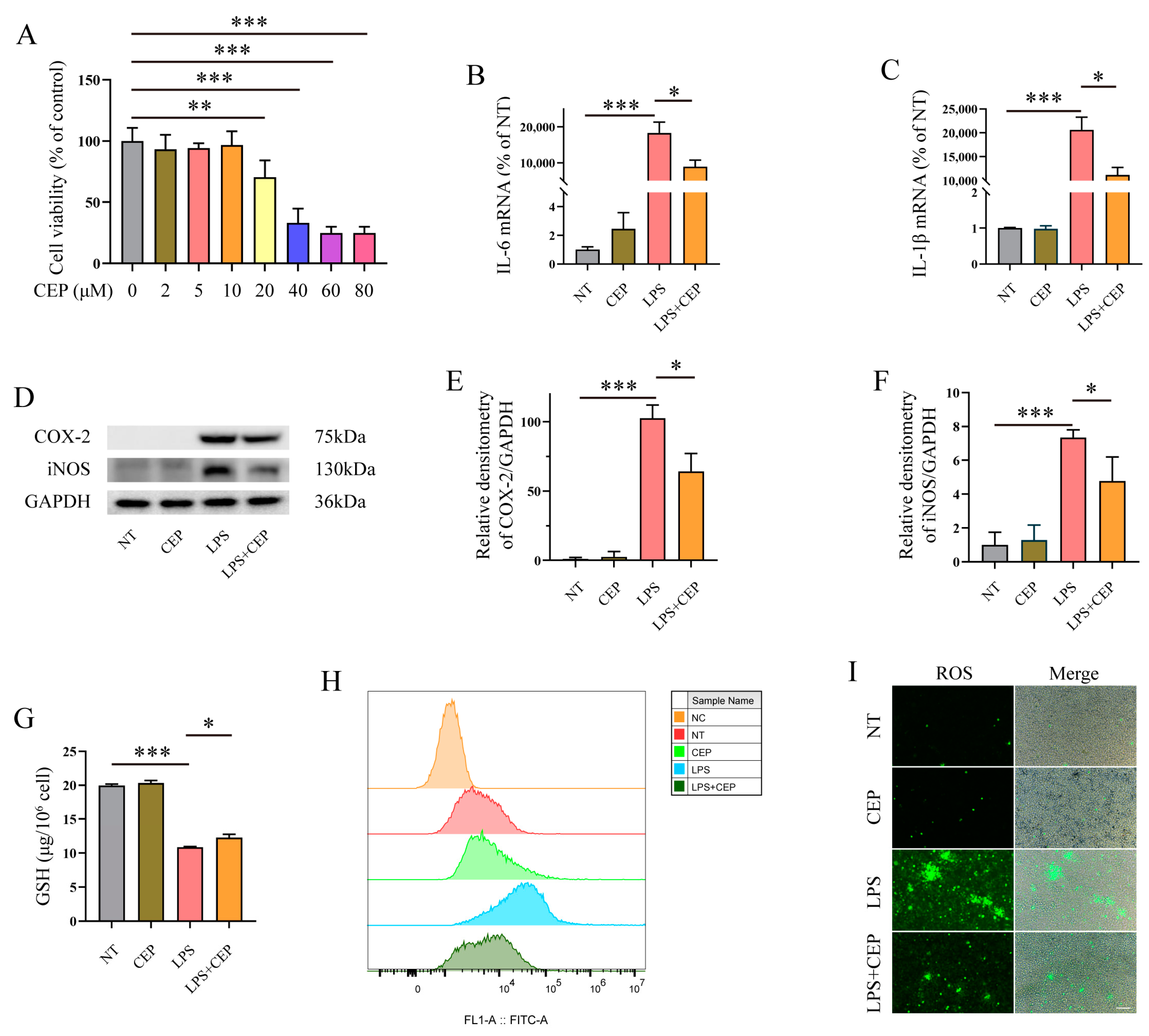 Molecules 28 06070 g004