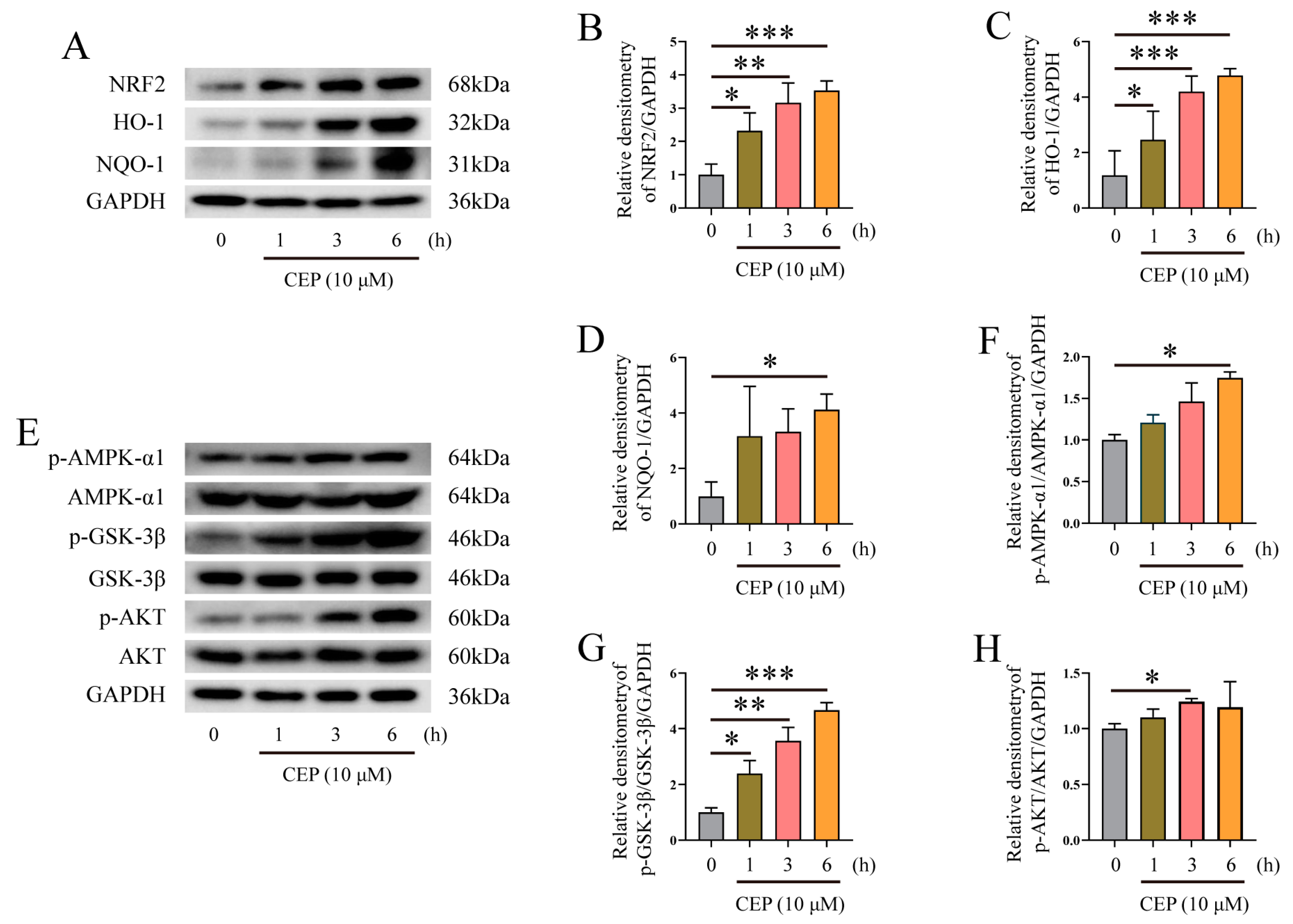 Molecules 28 06070 g005