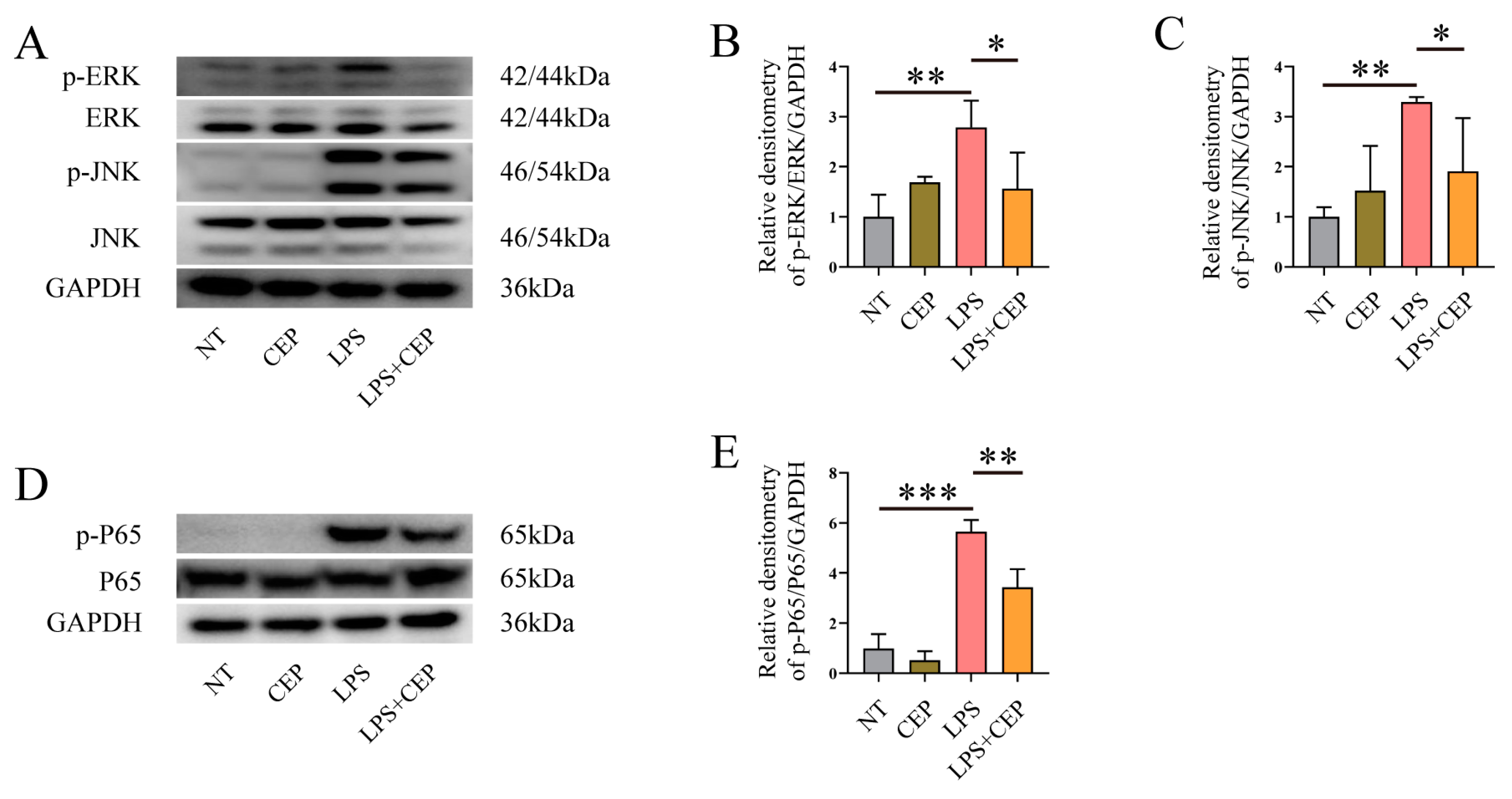 Molecules 28 06070 g006