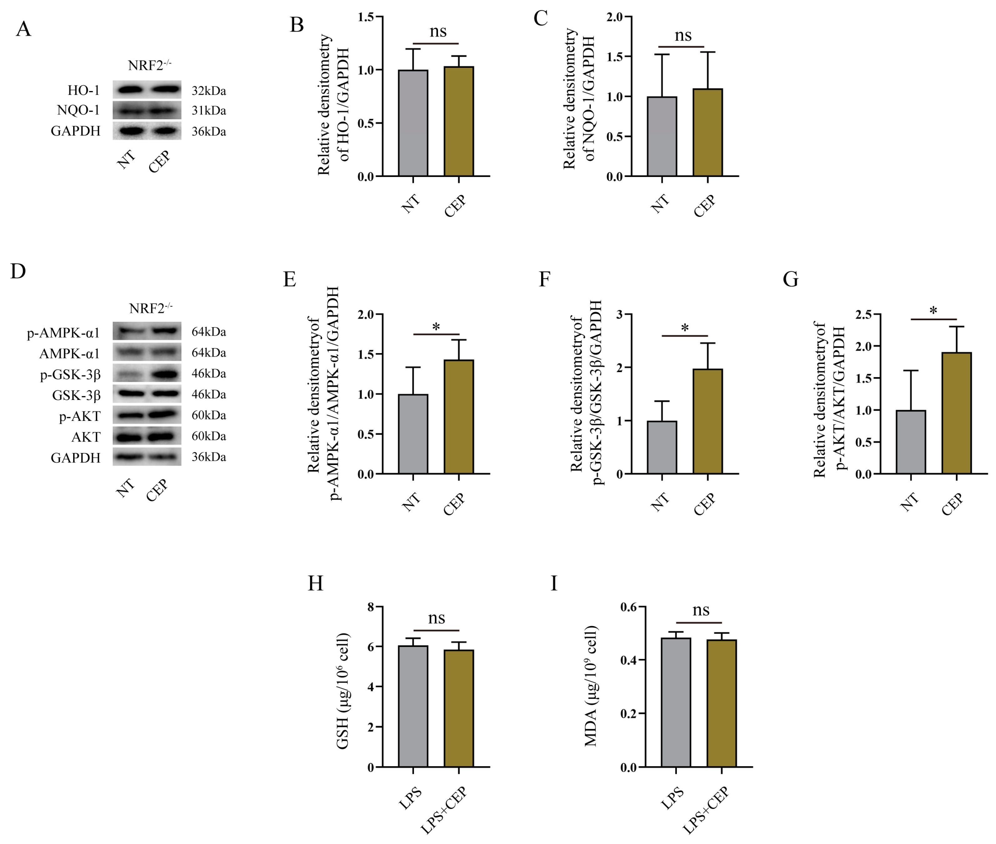 Molecules 28 06070 g007